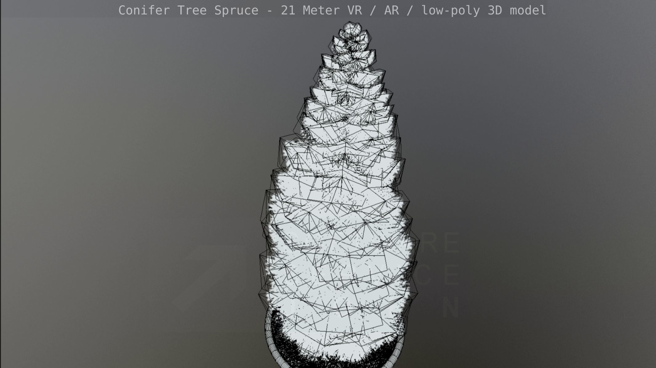 Conifer Tree Spruce - 21 Meter Version 2 Low-poly 3D model_76