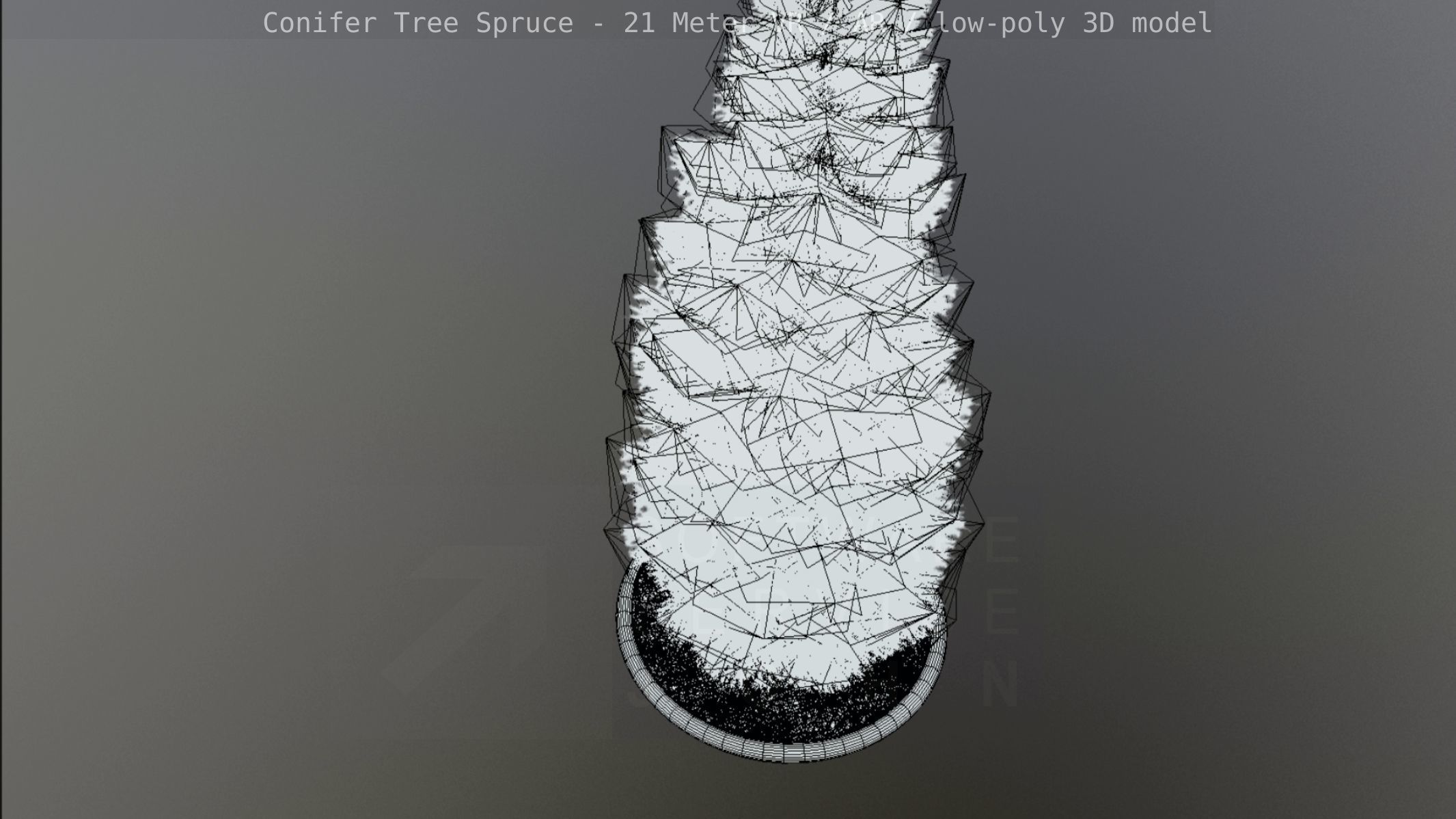 Conifer Tree Spruce - 21 Meter Version 2 Low-poly 3D model_45