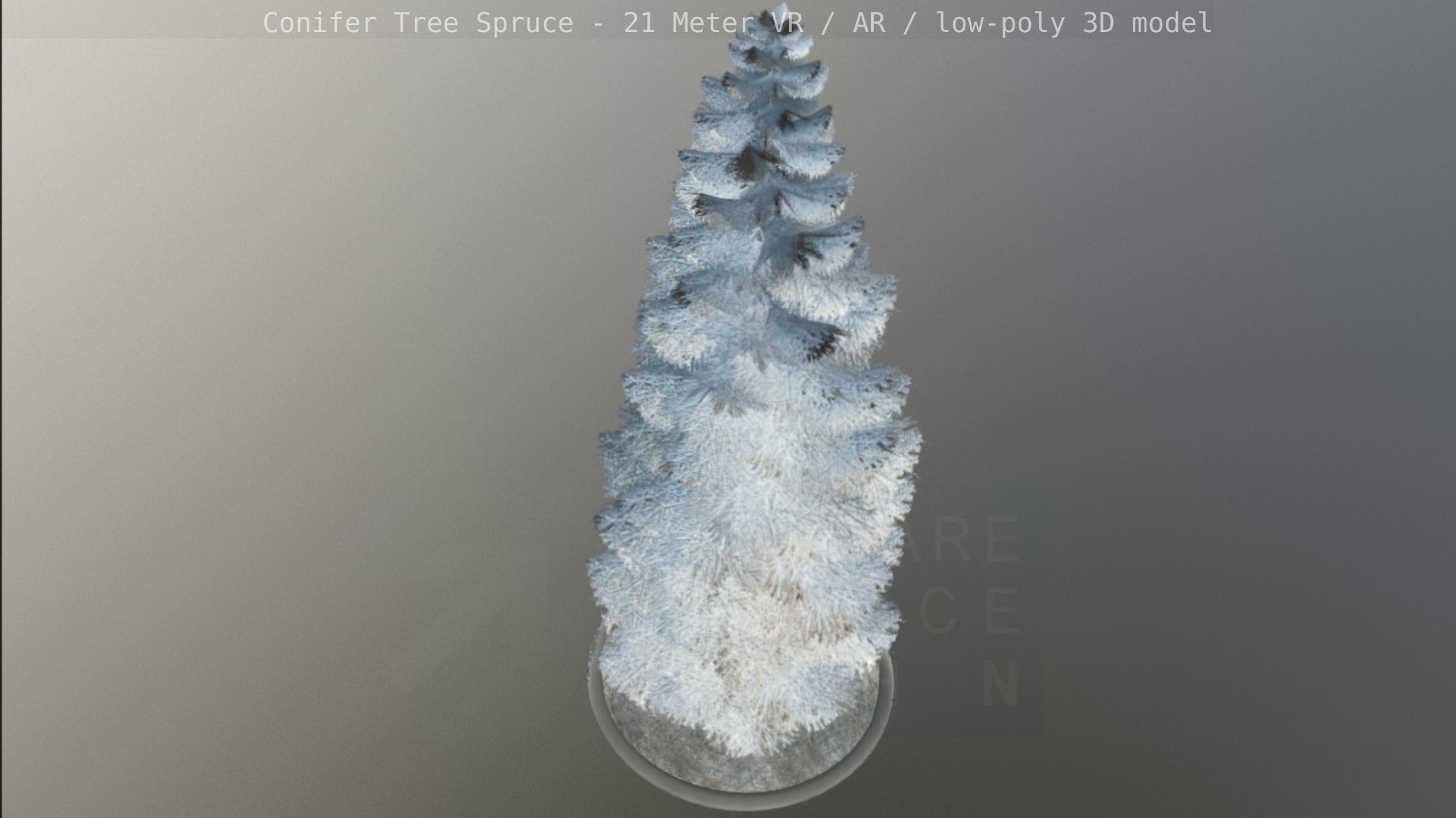 Conifer Tree Spruce - 21 Meter Version 2 Low-poly 3D model_55