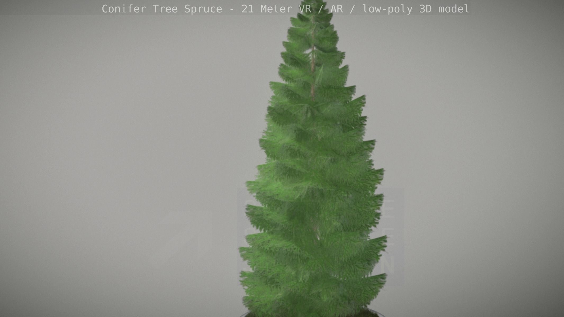 Conifer Tree Spruce - 21 Meter Version 2 Low-poly 3D model_79