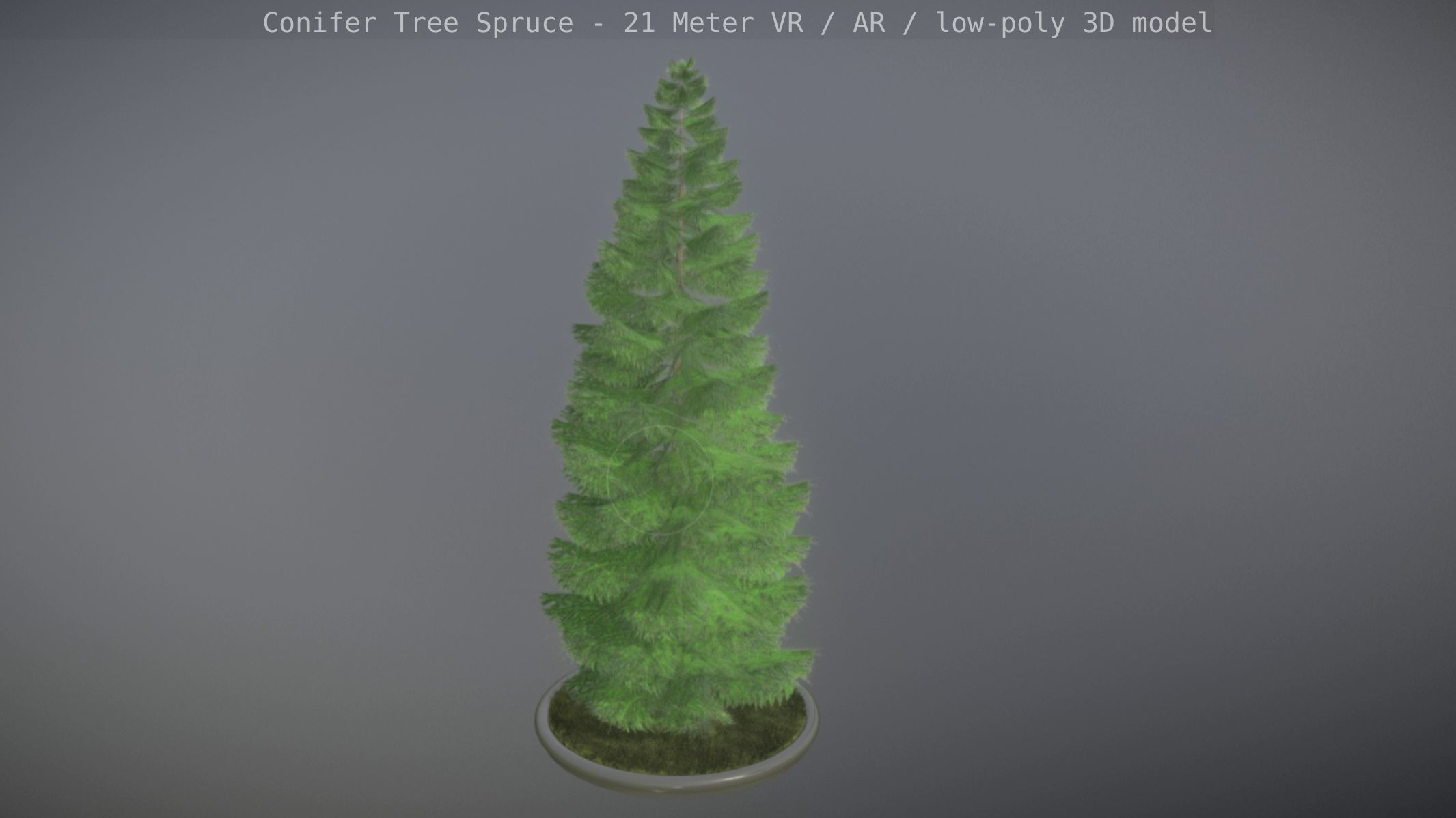 Conifer Tree Spruce - 21 Meter Version 2 Low-poly 3D model_3