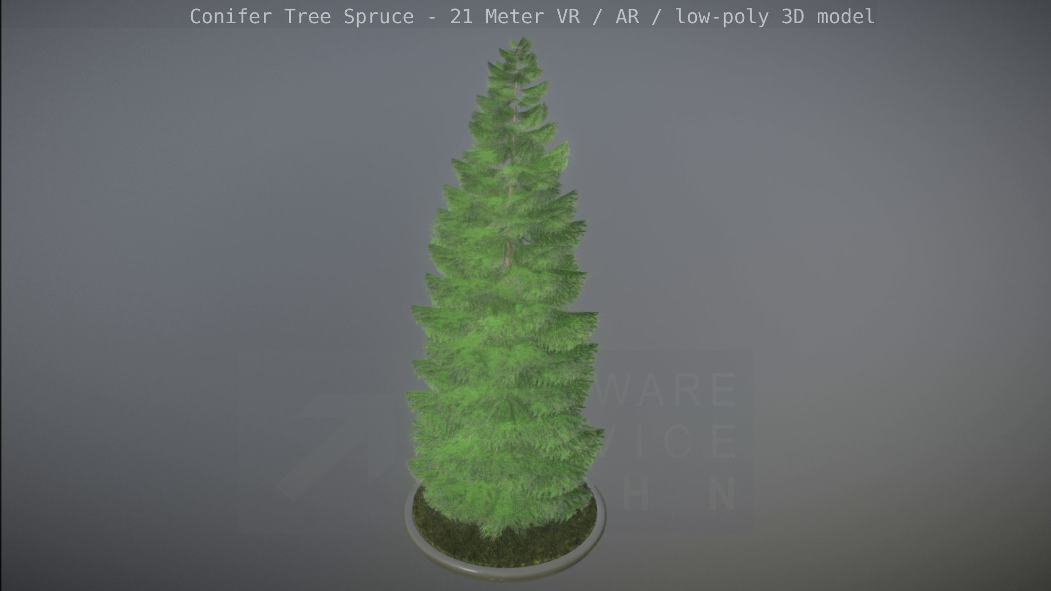 Conifer Tree Spruce - 21 Meter Version 2 Low-poly 3D model_42