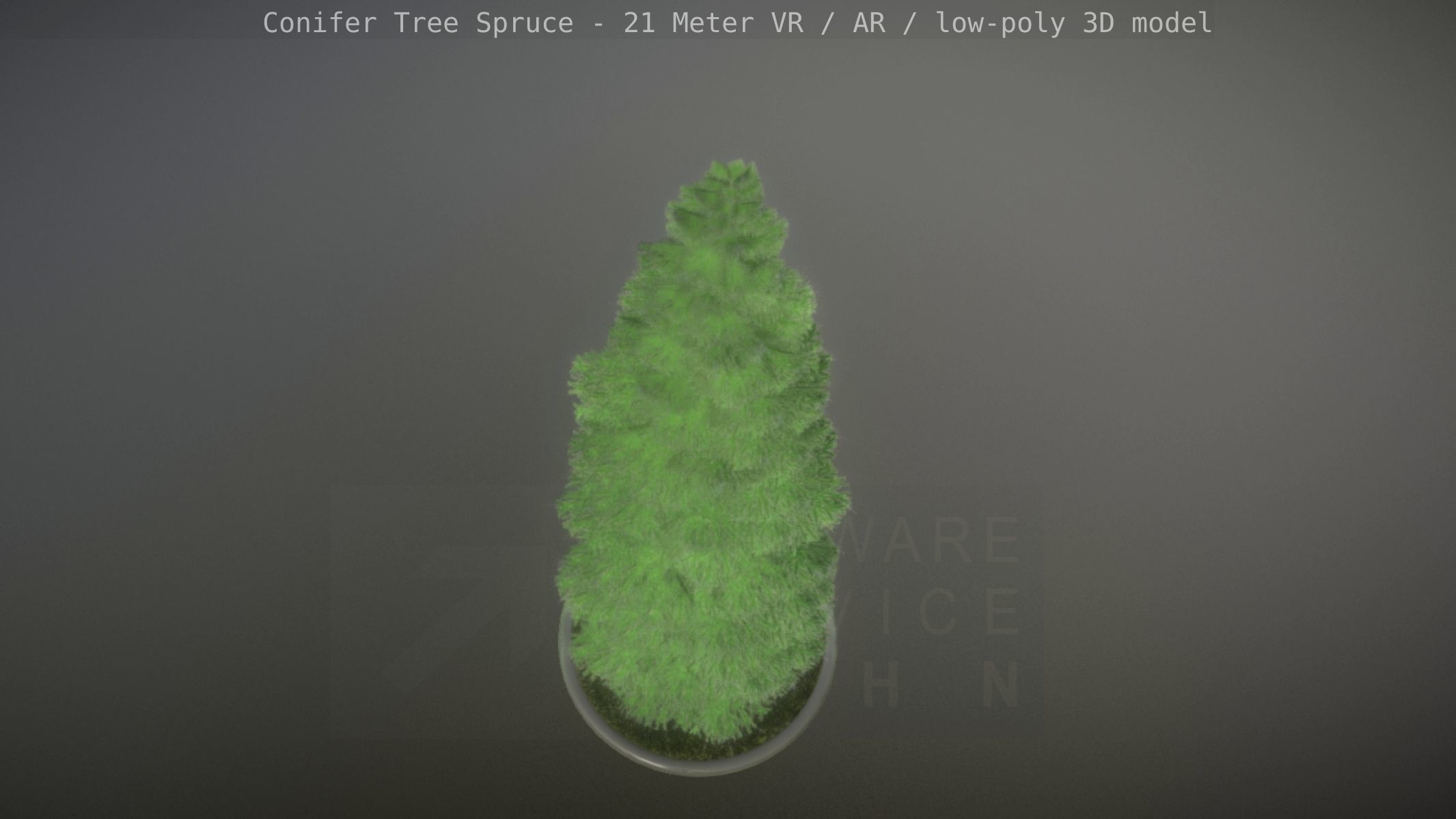 Conifer Tree Spruce - 21 Meter Version 2 Low-poly 3D model_37