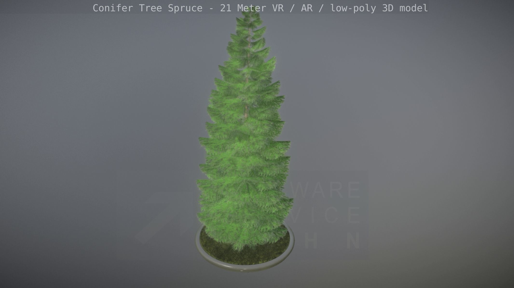 Conifer Tree Spruce - 21 Meter Version 2 Low-poly 3D model_38