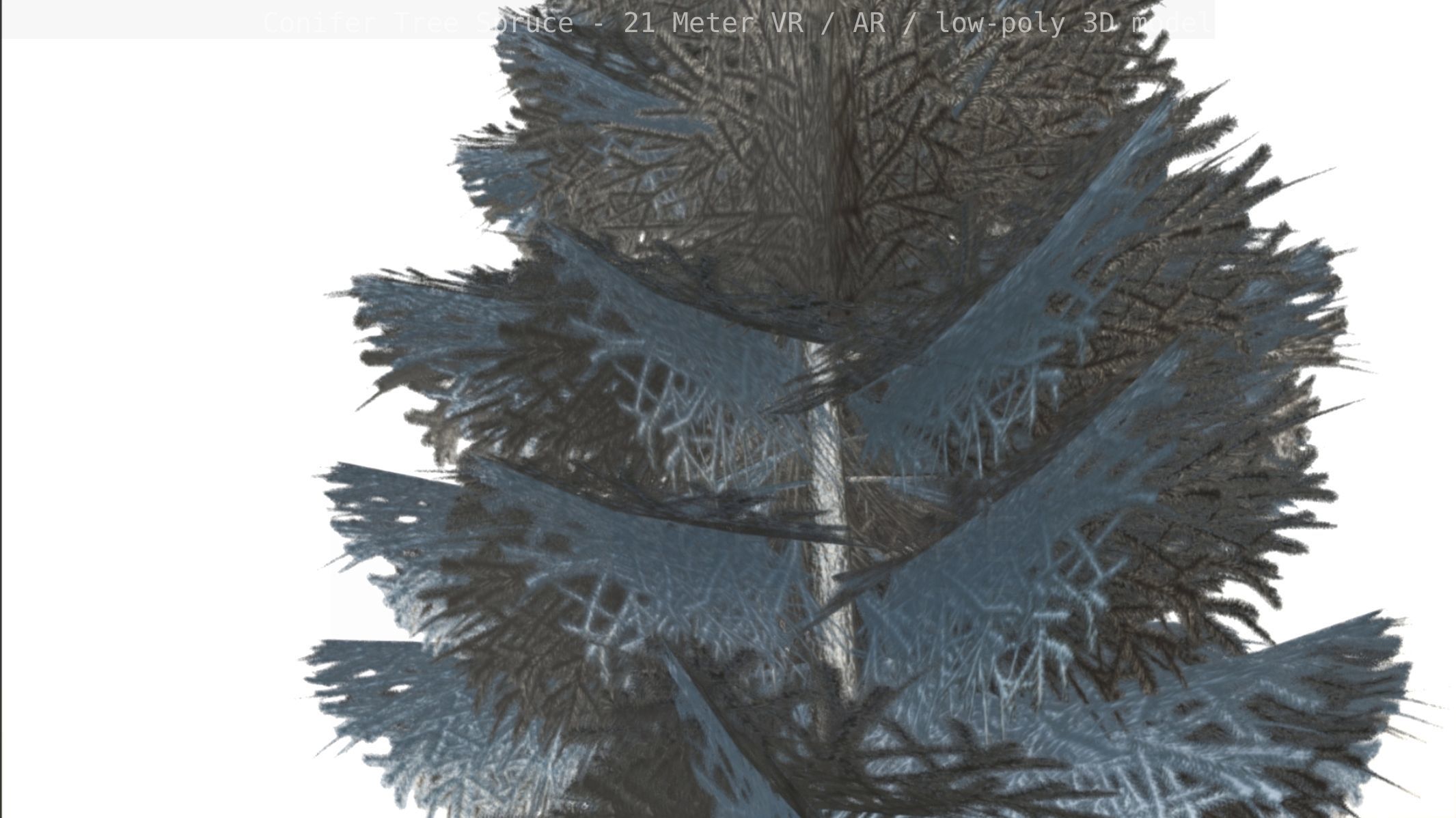 Conifer Tree Spruce - 21 Meter Version 2 Low-poly 3D model_59