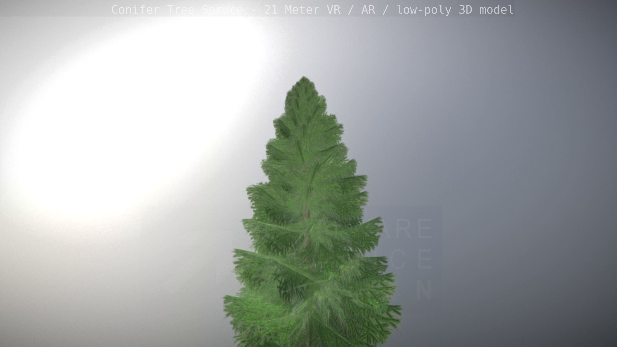 Conifer Tree Spruce - 21 Meter Version 2 Low-poly 3D model_94