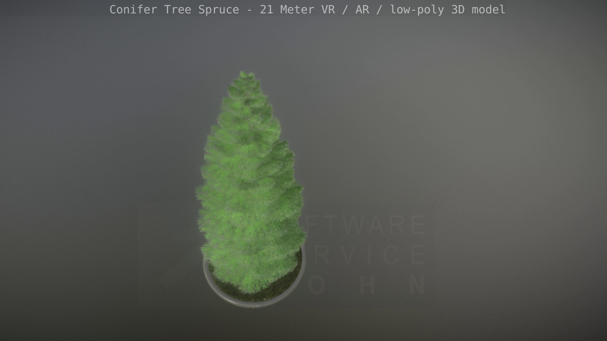 Conifer Tree Spruce - 21 Meter Version 2 Low-poly 3D model_32