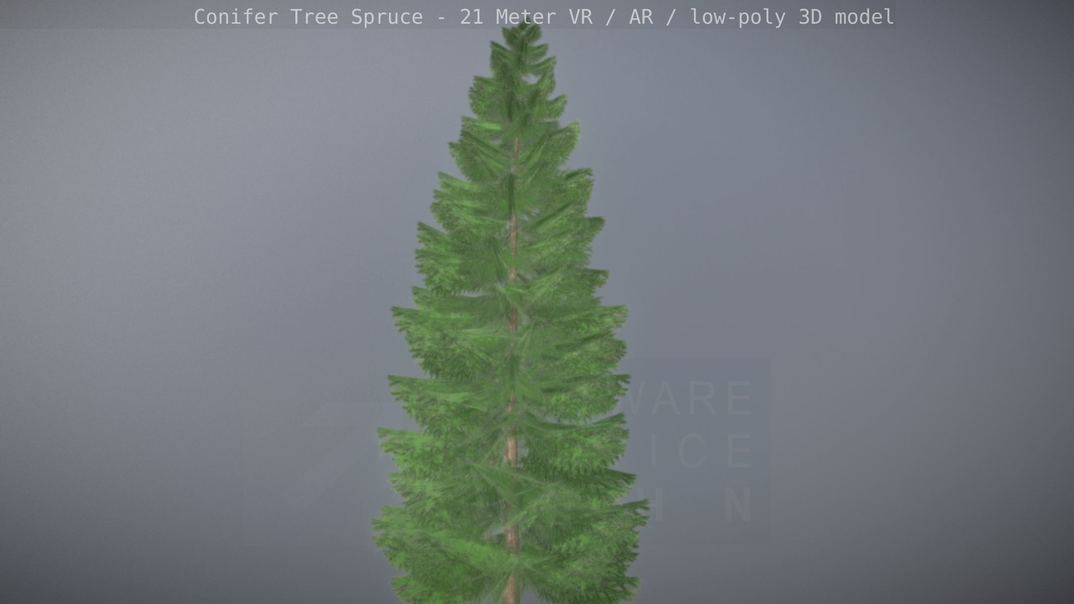 Conifer Tree Spruce - 21 Meter Version 2 Low-poly 3D model_13