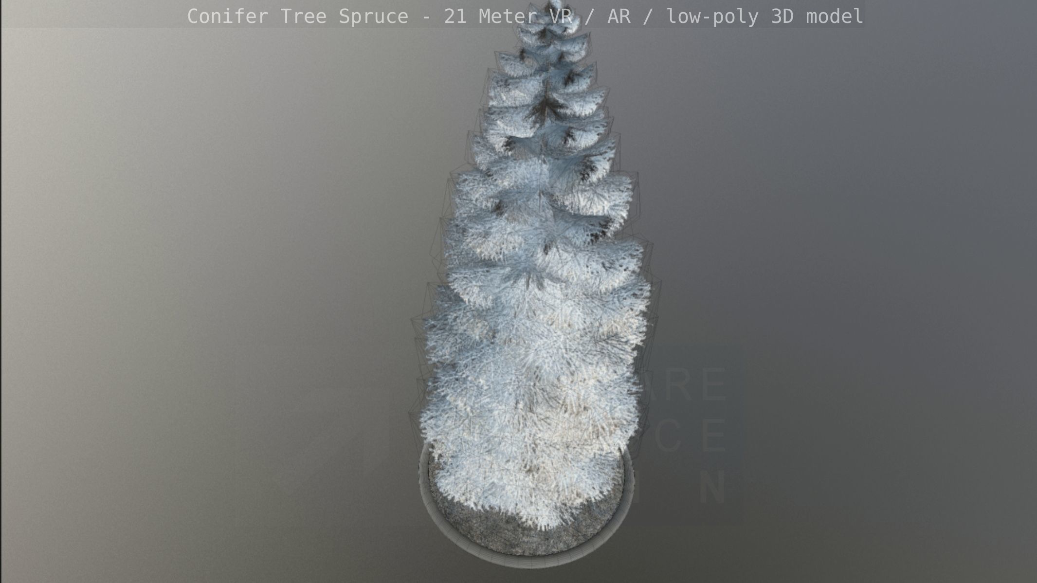 Conifer Tree Spruce - 21 Meter Version 2 Low-poly 3D model_57