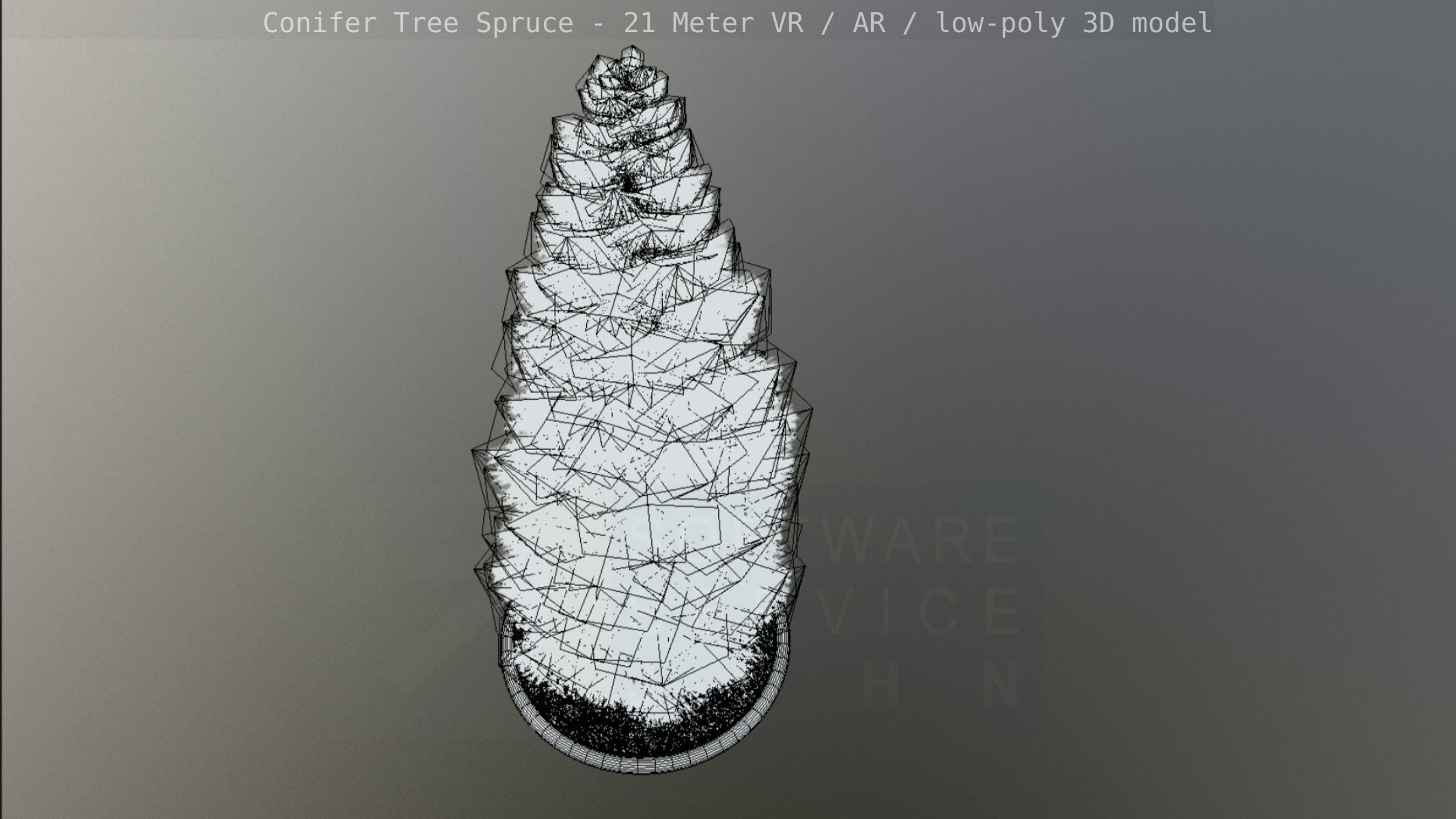 Conifer Tree Spruce - 21 Meter Version 2 Low-poly 3D model_51