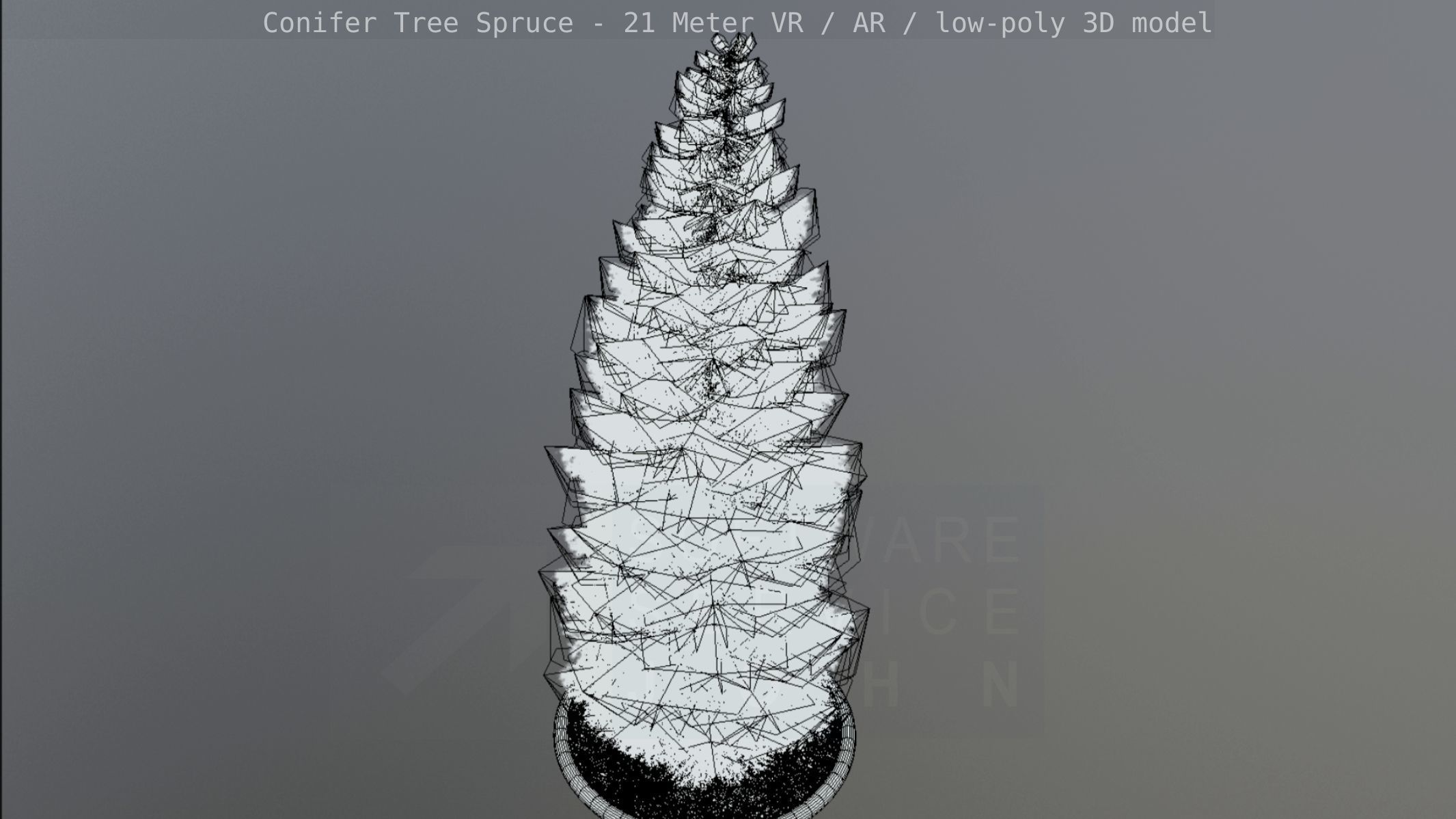 Conifer Tree Spruce - 21 Meter Version 2 Low-poly 3D model_43