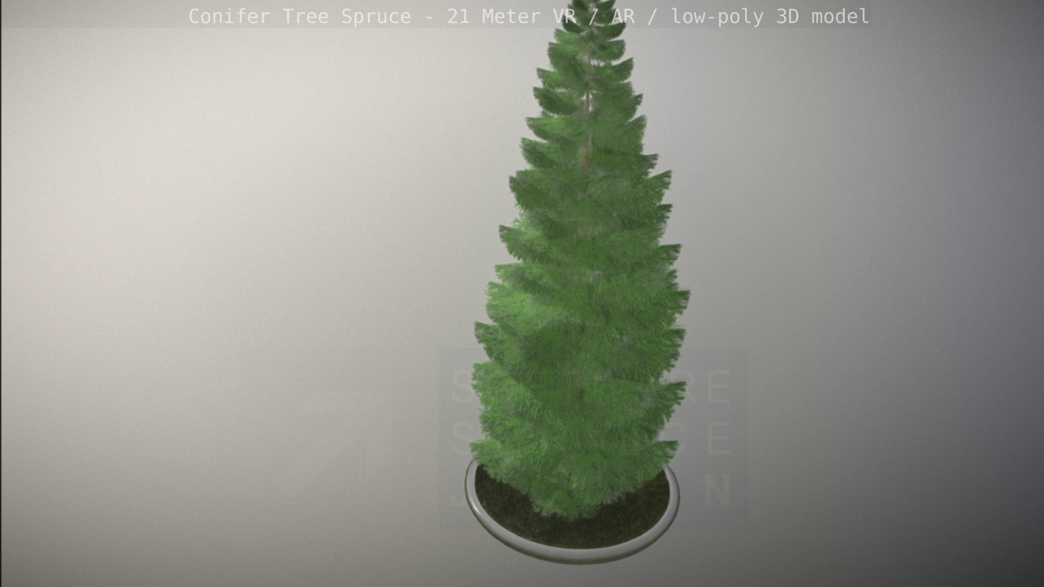 Conifer Tree Spruce - 21 Meter Version 2 Low-poly 3D model_71
