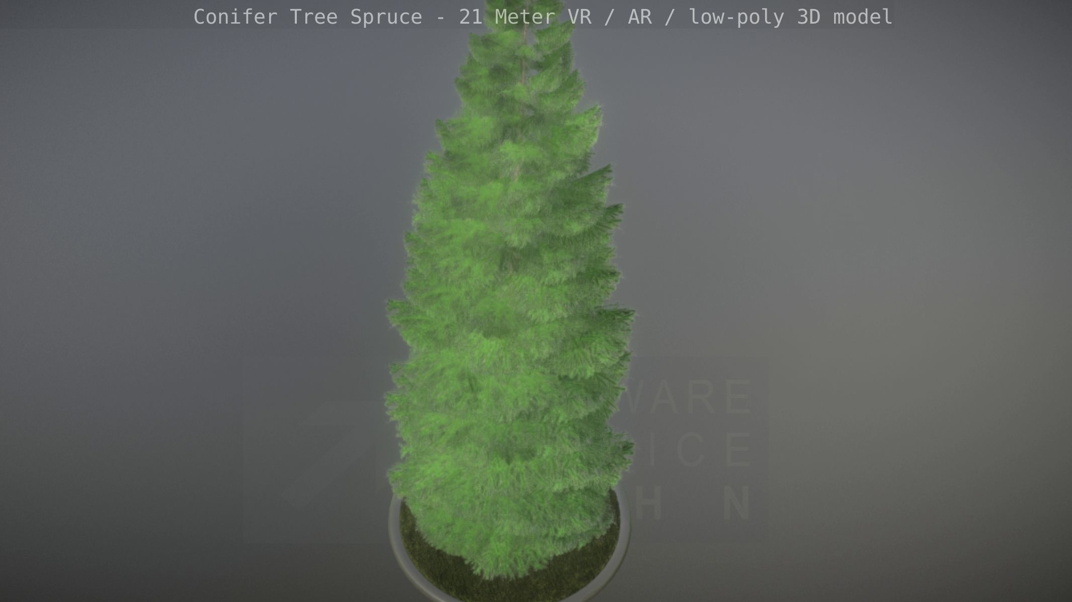 Conifer Tree Spruce - 21 Meter Version 2 Low-poly 3D model_14