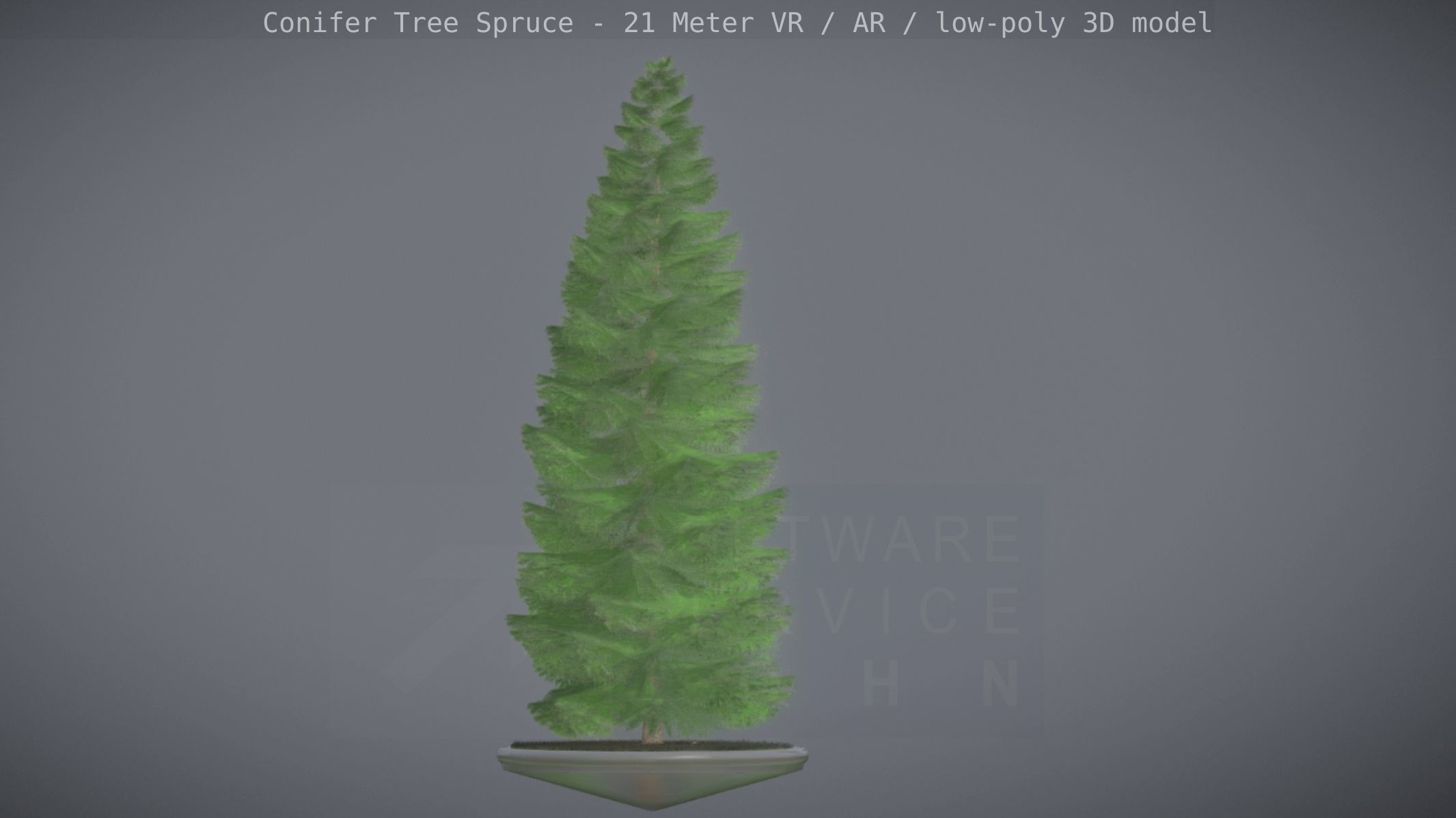 Conifer Tree Spruce - 21 Meter Version 2 Low-poly 3D model_87