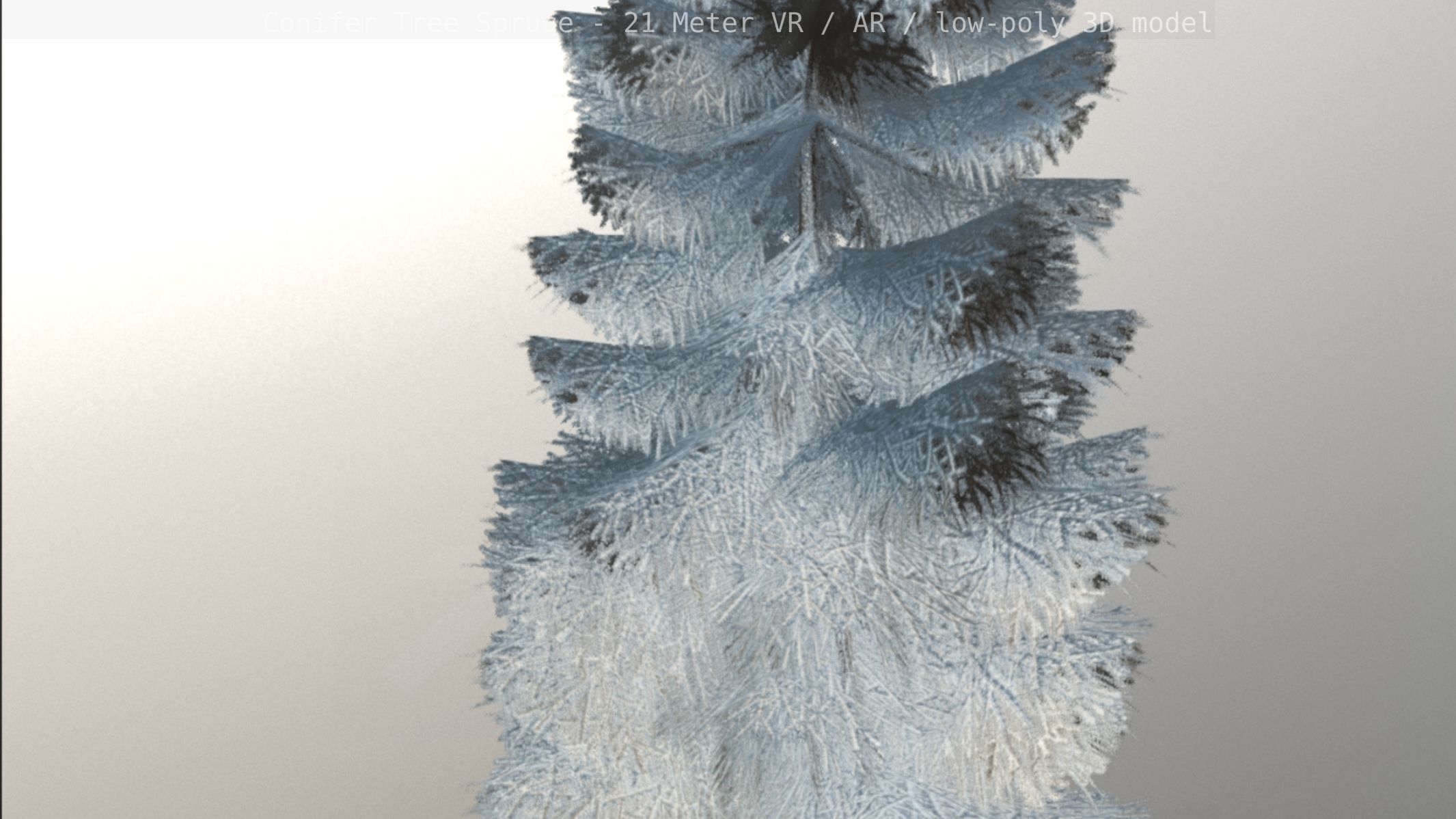 Conifer Tree Spruce - 21 Meter Version 2 Low-poly 3D model_60