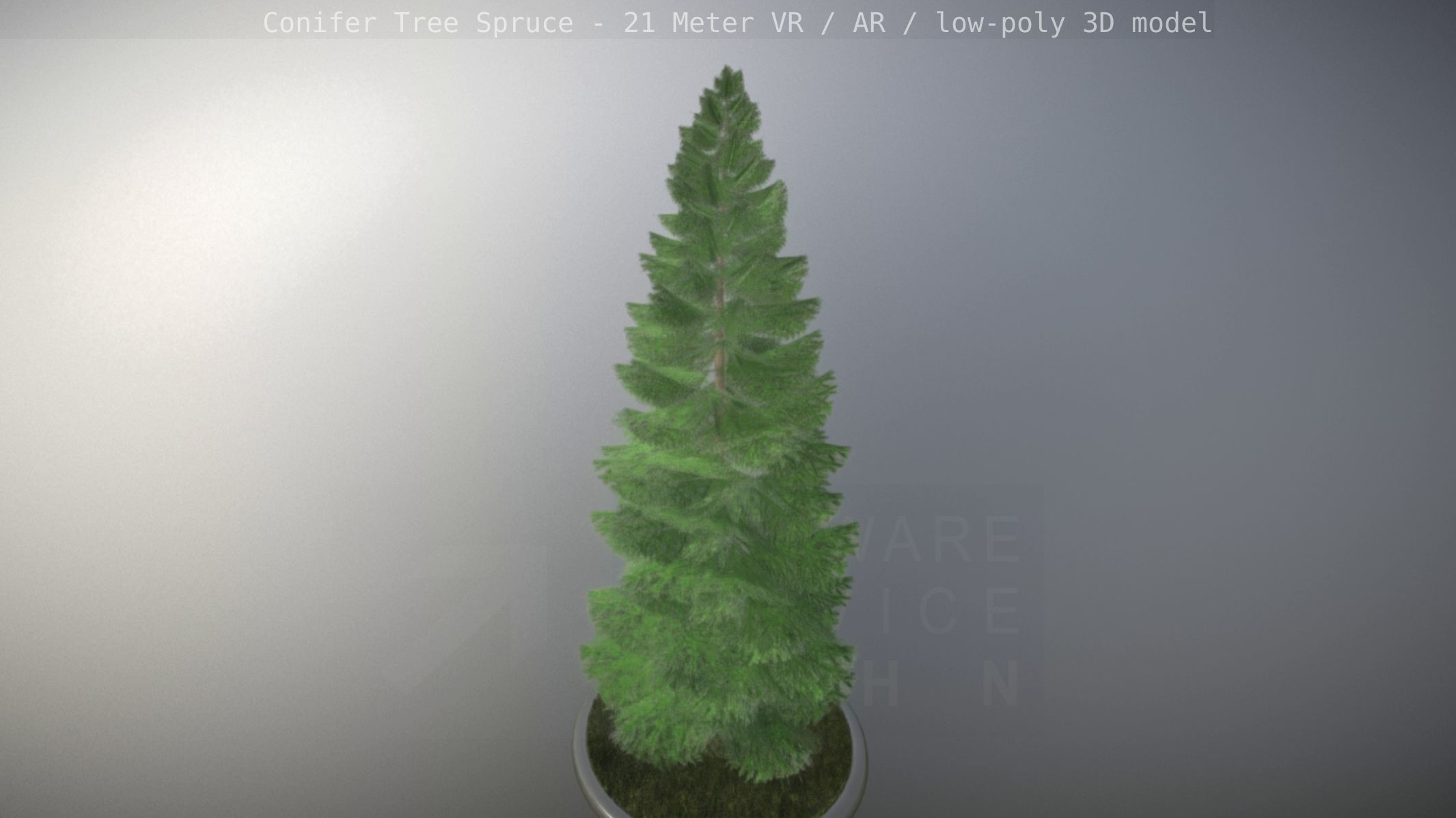 Conifer Tree Spruce - 21 Meter Version 2 Low-poly 3D model_93