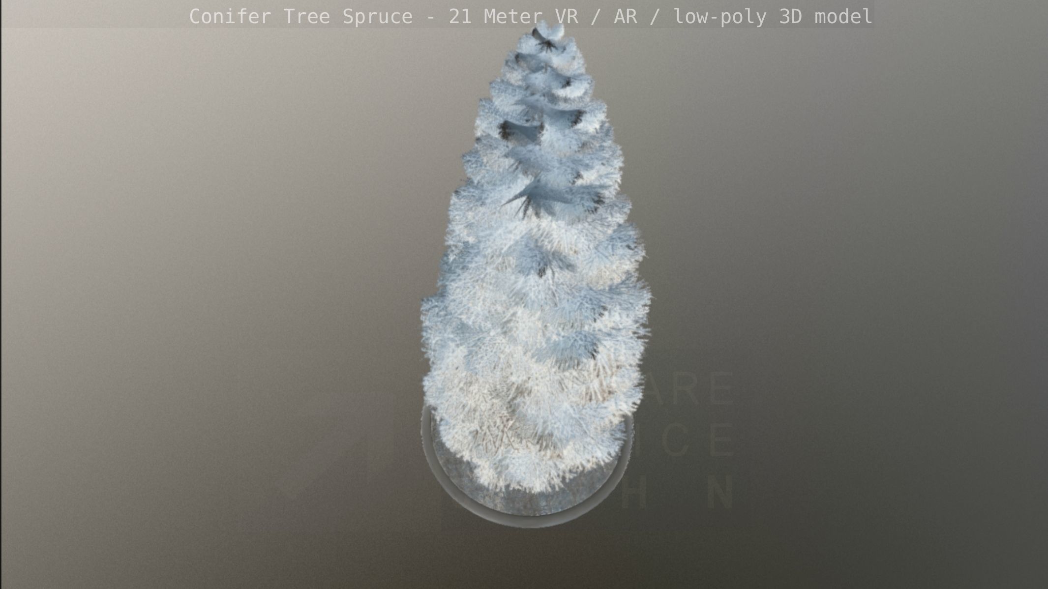 Conifer Tree Spruce - 21 Meter Version 2 Low-poly 3D model_58