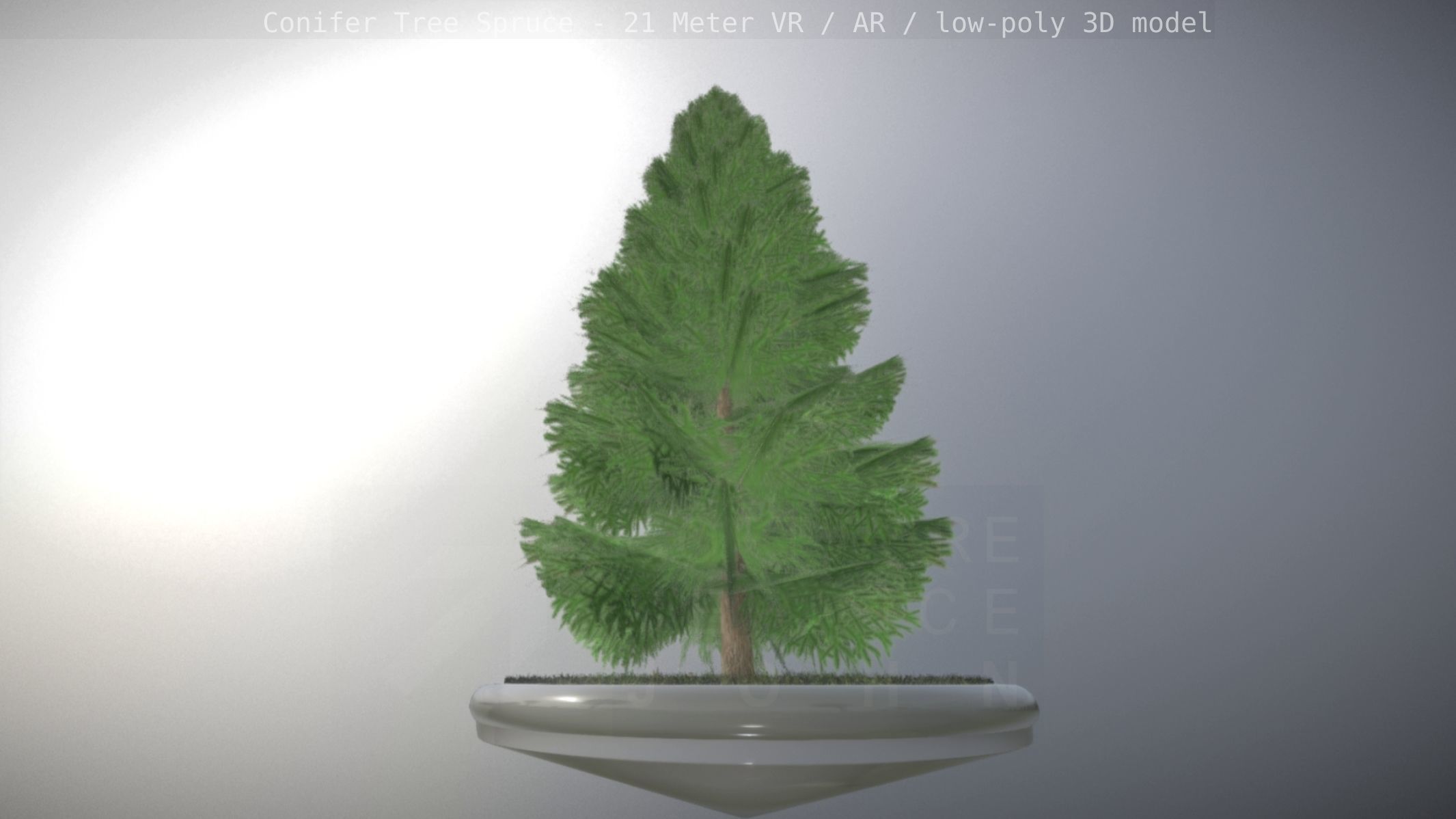 Conifer Tree Spruce - 21 Meter Version 2 Low-poly 3D model_9