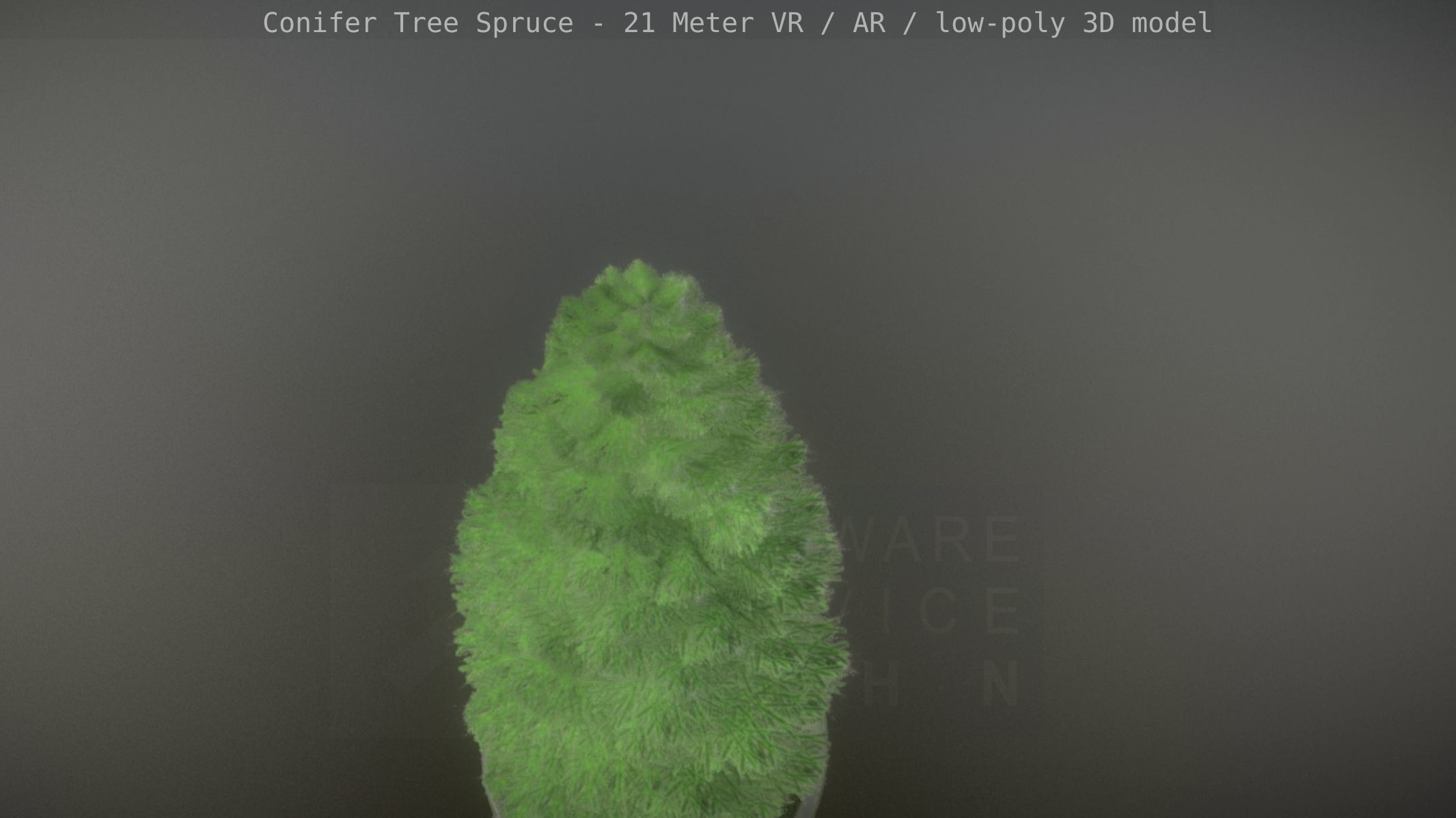 Conifer Tree Spruce - 21 Meter Version 2 Low-poly 3D model_19