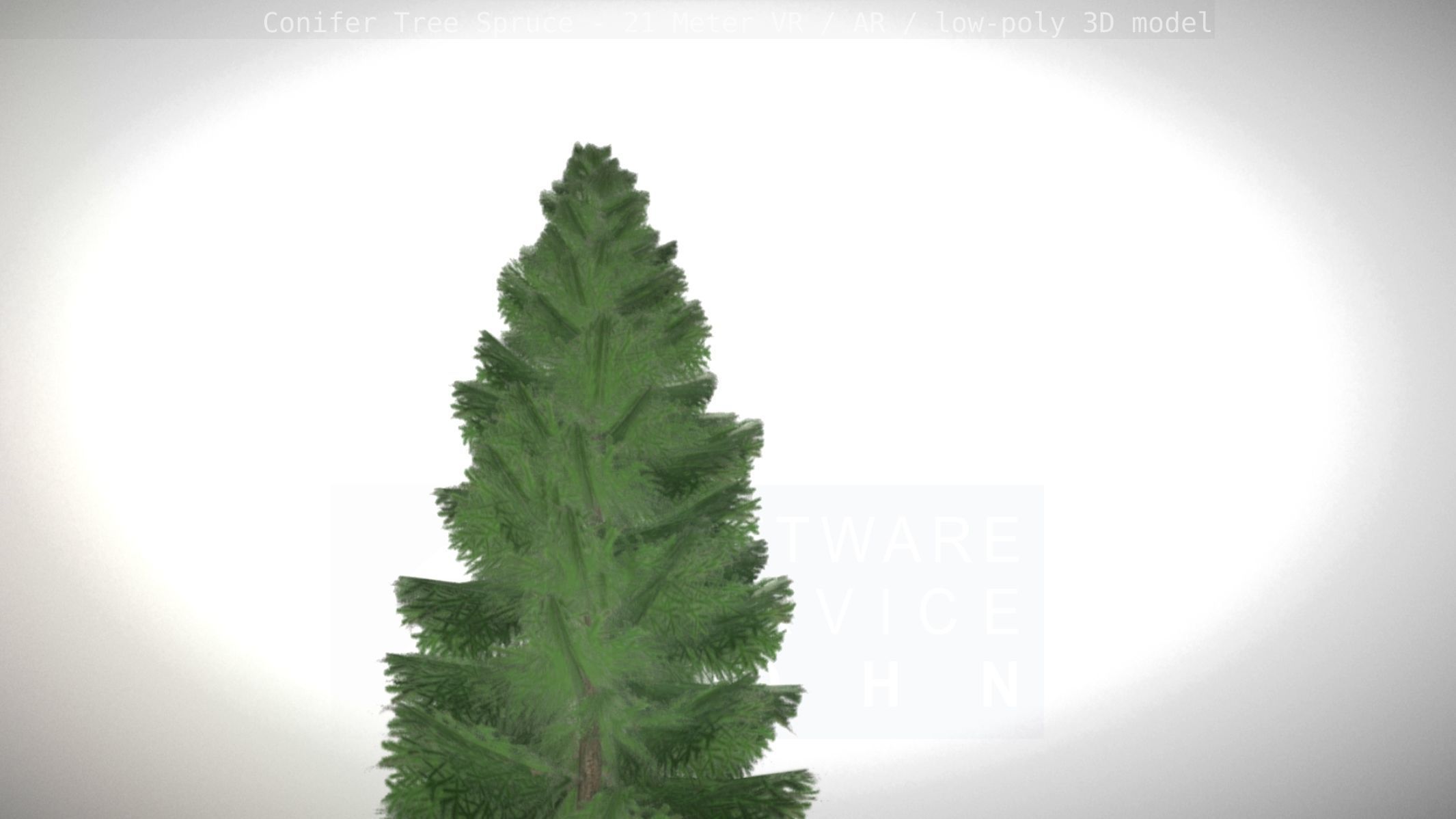 Conifer Tree Spruce - 21 Meter Version 2 Low-poly 3D model_18