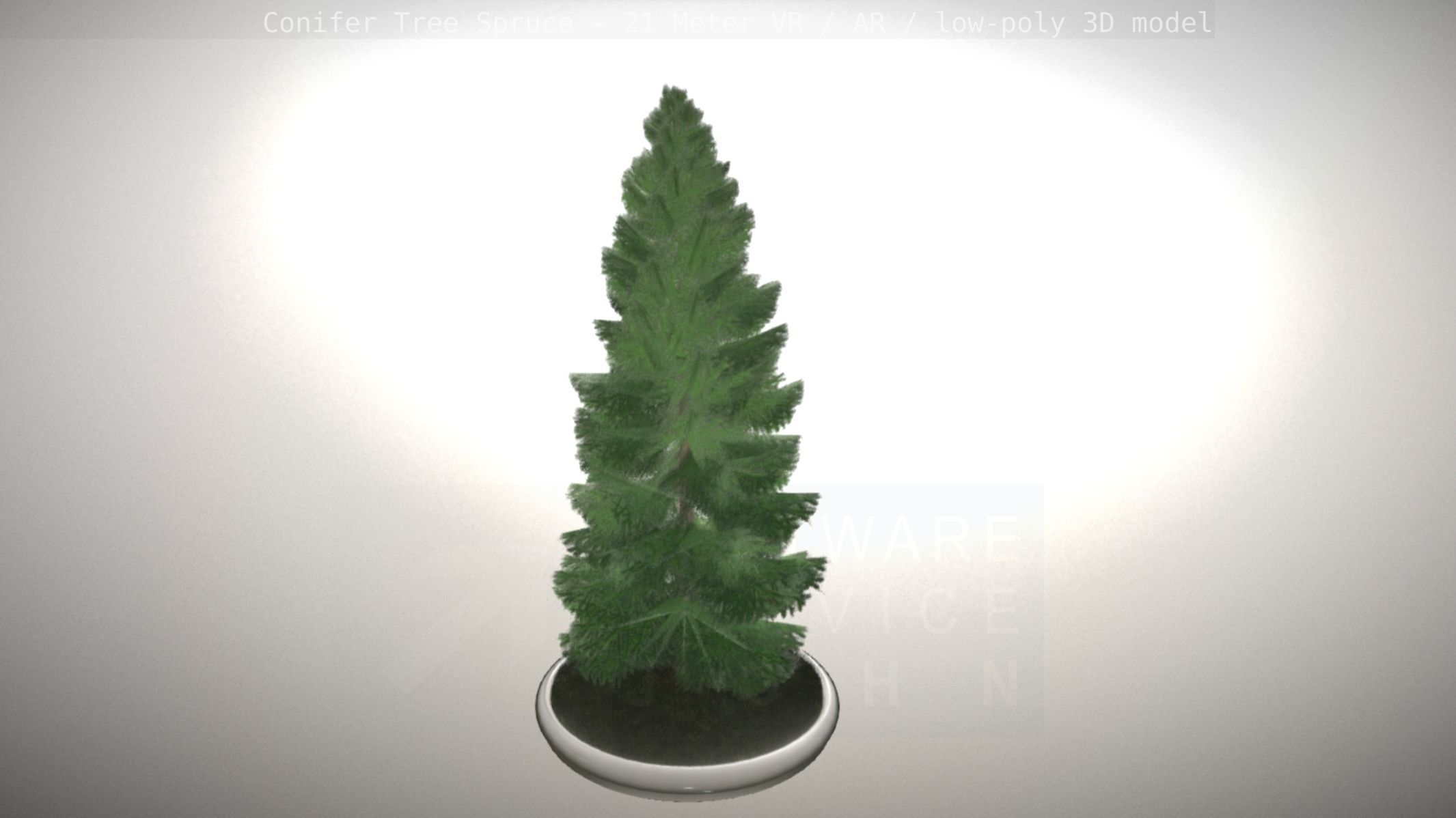 Conifer Tree Spruce - 21 Meter Version 2 Low-poly 3D model_97