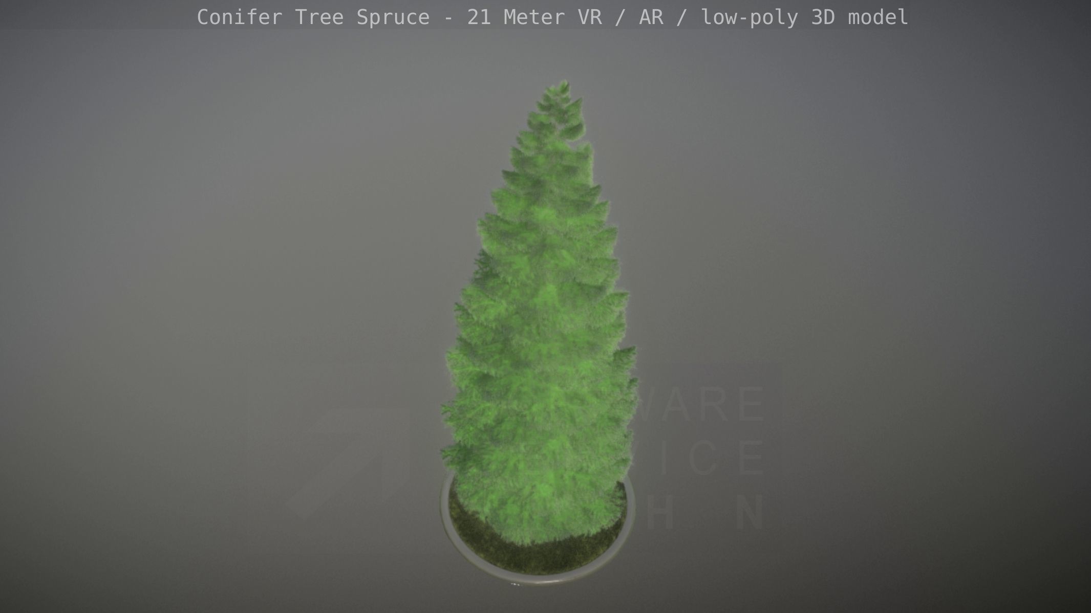 Conifer Tree Spruce - 21 Meter Version 2 Low-poly 3D model_31