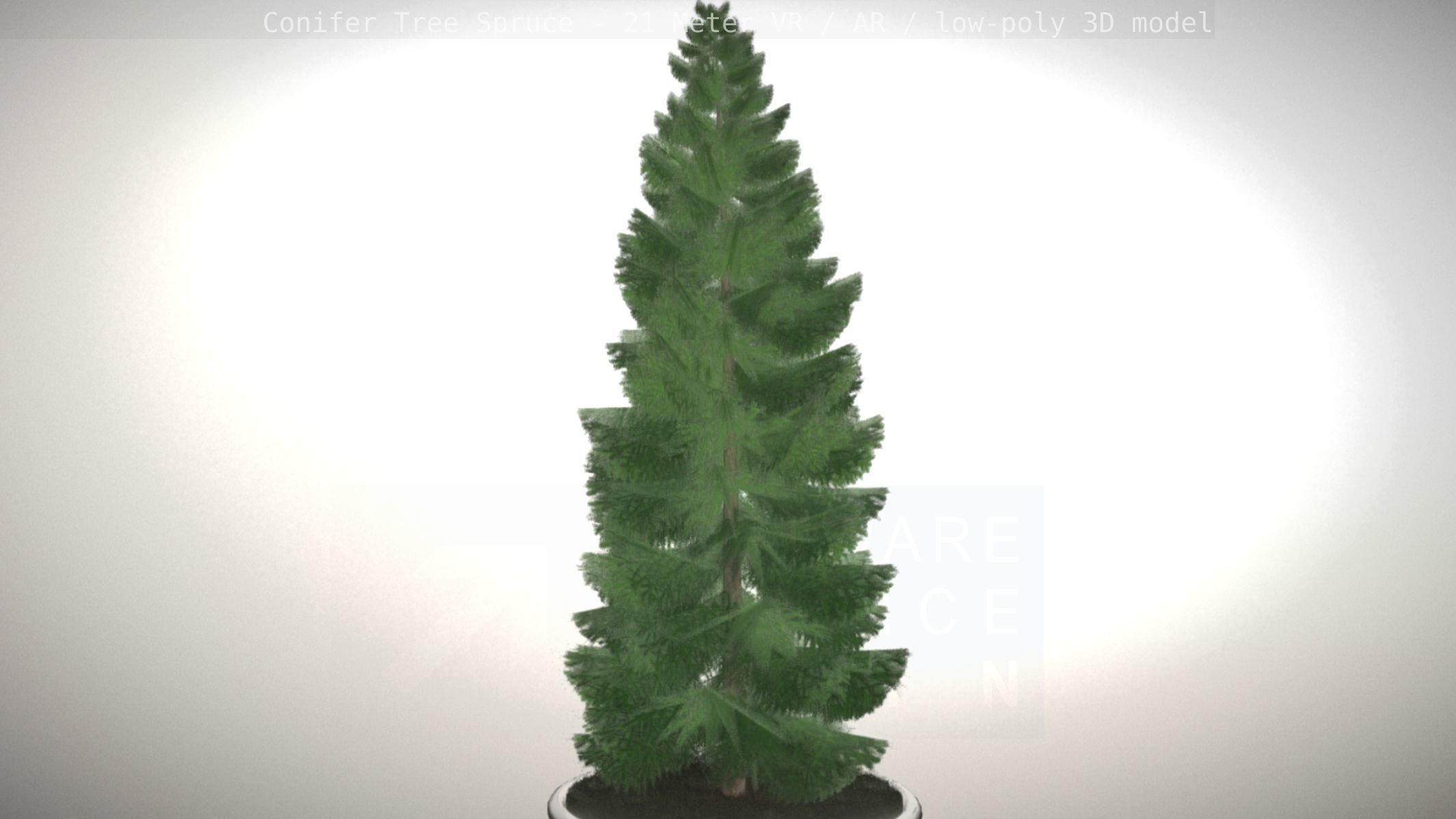 Conifer Tree Spruce - 21 Meter Version 2 Low-poly 3D model_25