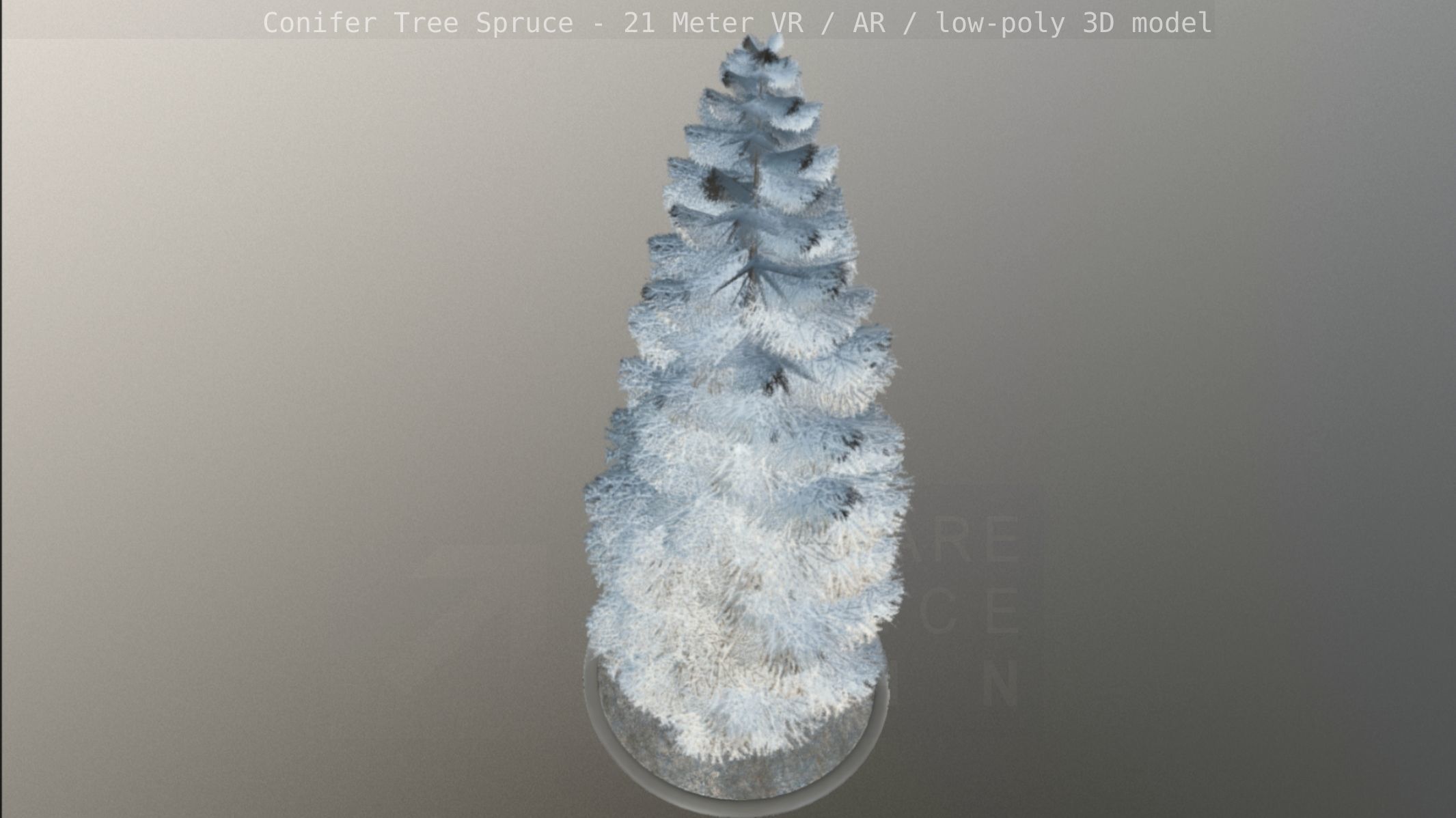 Conifer Tree Spruce - 21 Meter Version 2 Low-poly 3D model_56