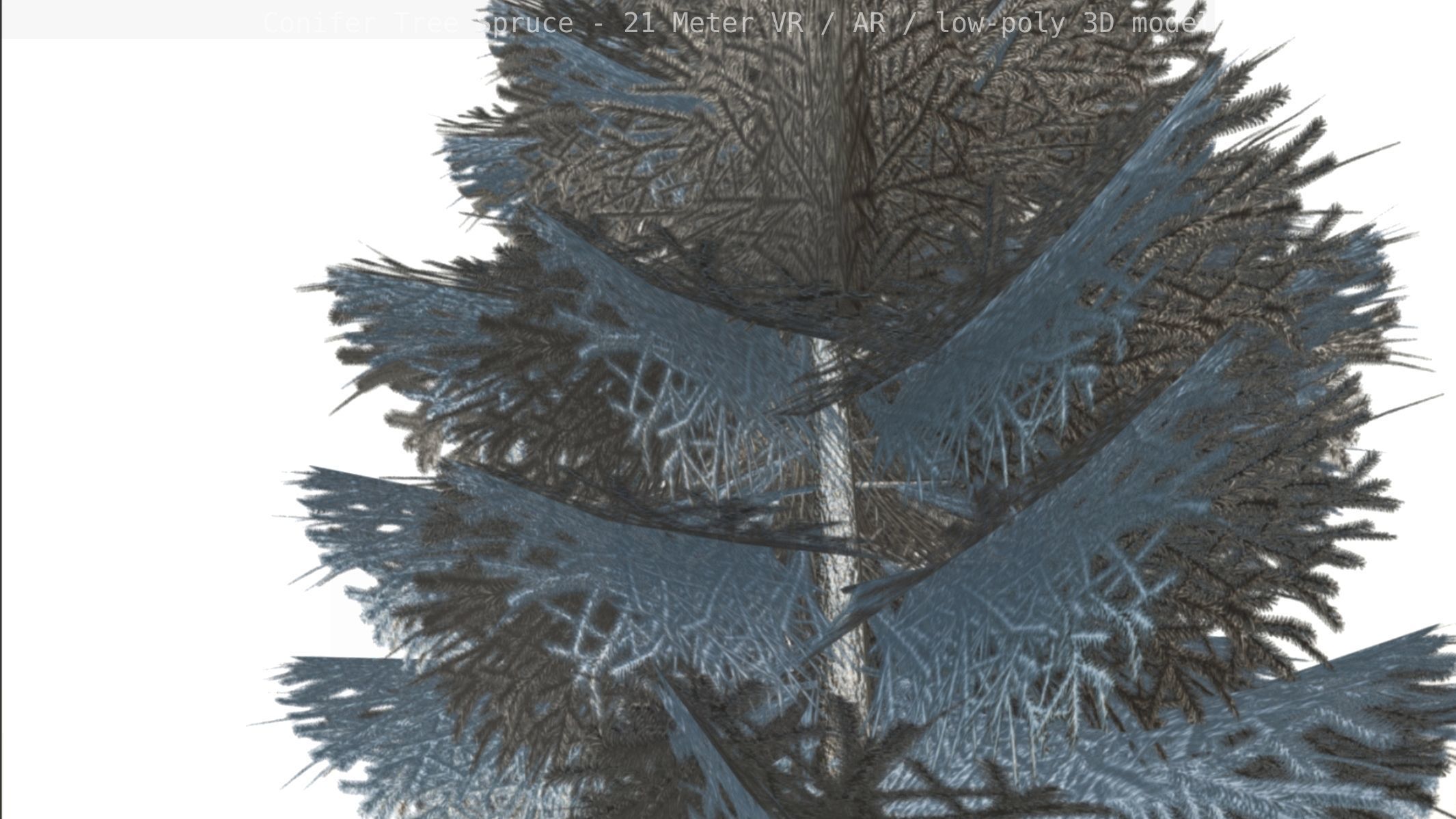 Conifer Tree Spruce - 21 Meter Version 2 Low-poly 3D model_61