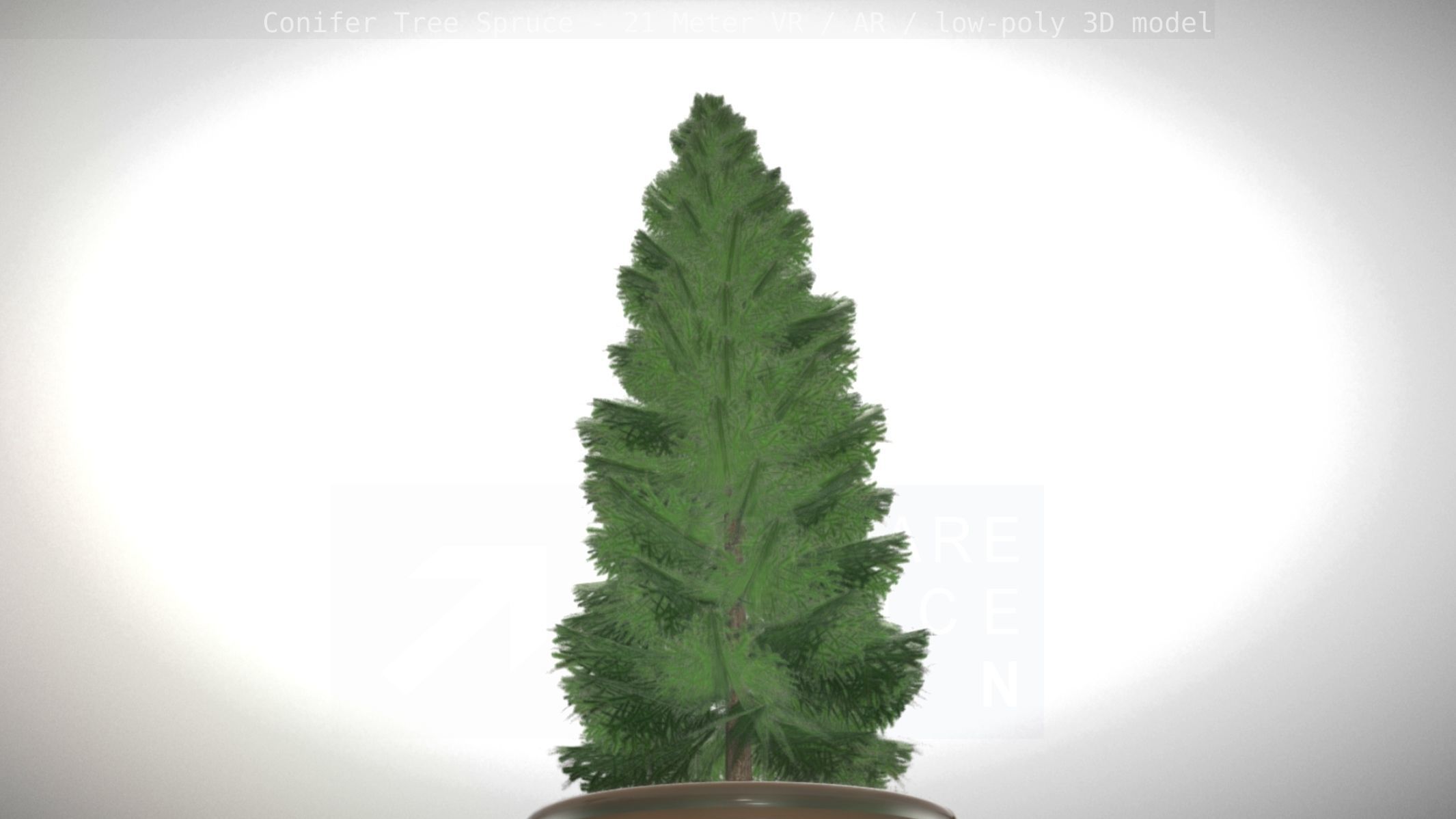 Conifer Tree Spruce - 21 Meter Version 2 Low-poly 3D model_22