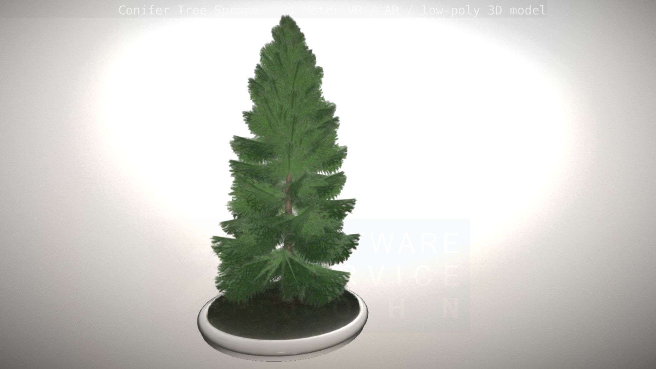 Conifer Tree Spruce - 21 Meter Version 2 Low-poly 3D model_96