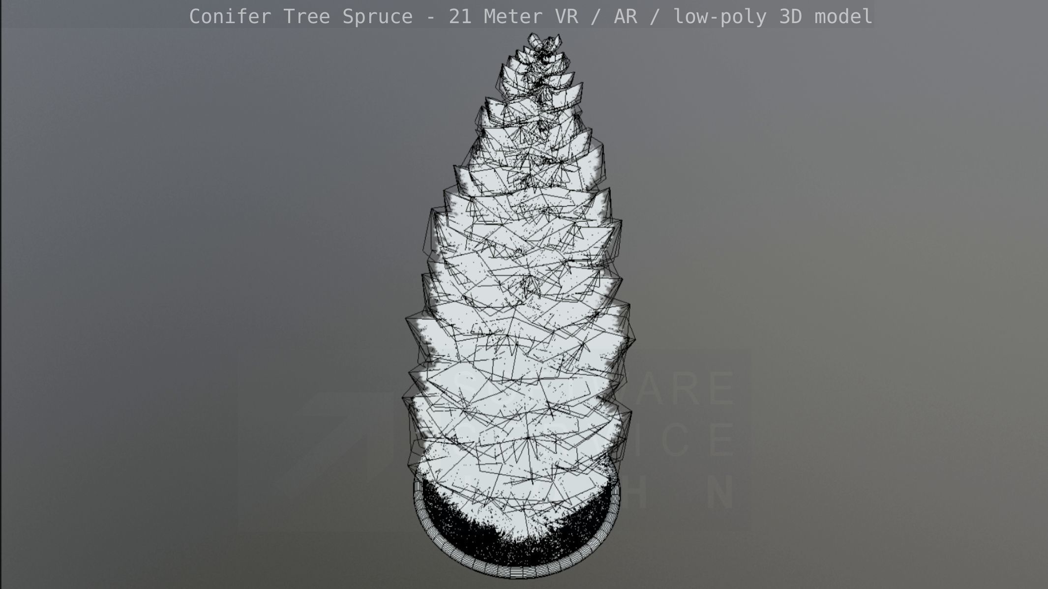 Conifer Tree Spruce - 21 Meter Version 2 Low-poly 3D model_44