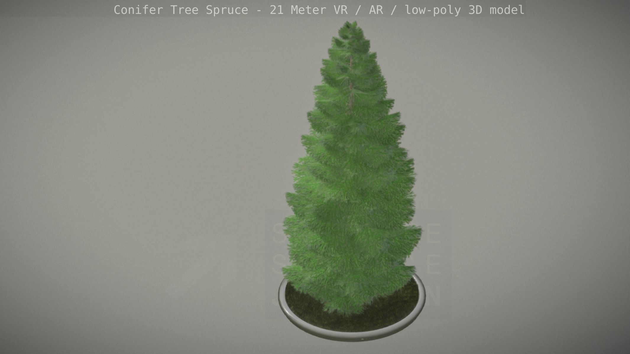 Conifer Tree Spruce - 21 Meter Version 2 Low-poly 3D model_77