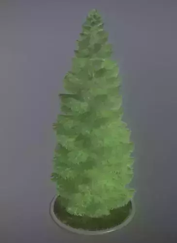 Conifer Tree Spruce - 31 Meter