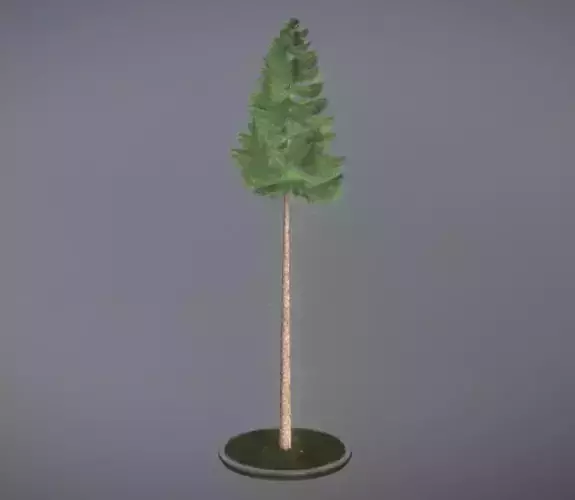 Conifer Tree Spruce - 31 Meter Version 2 Low-poly 3D model