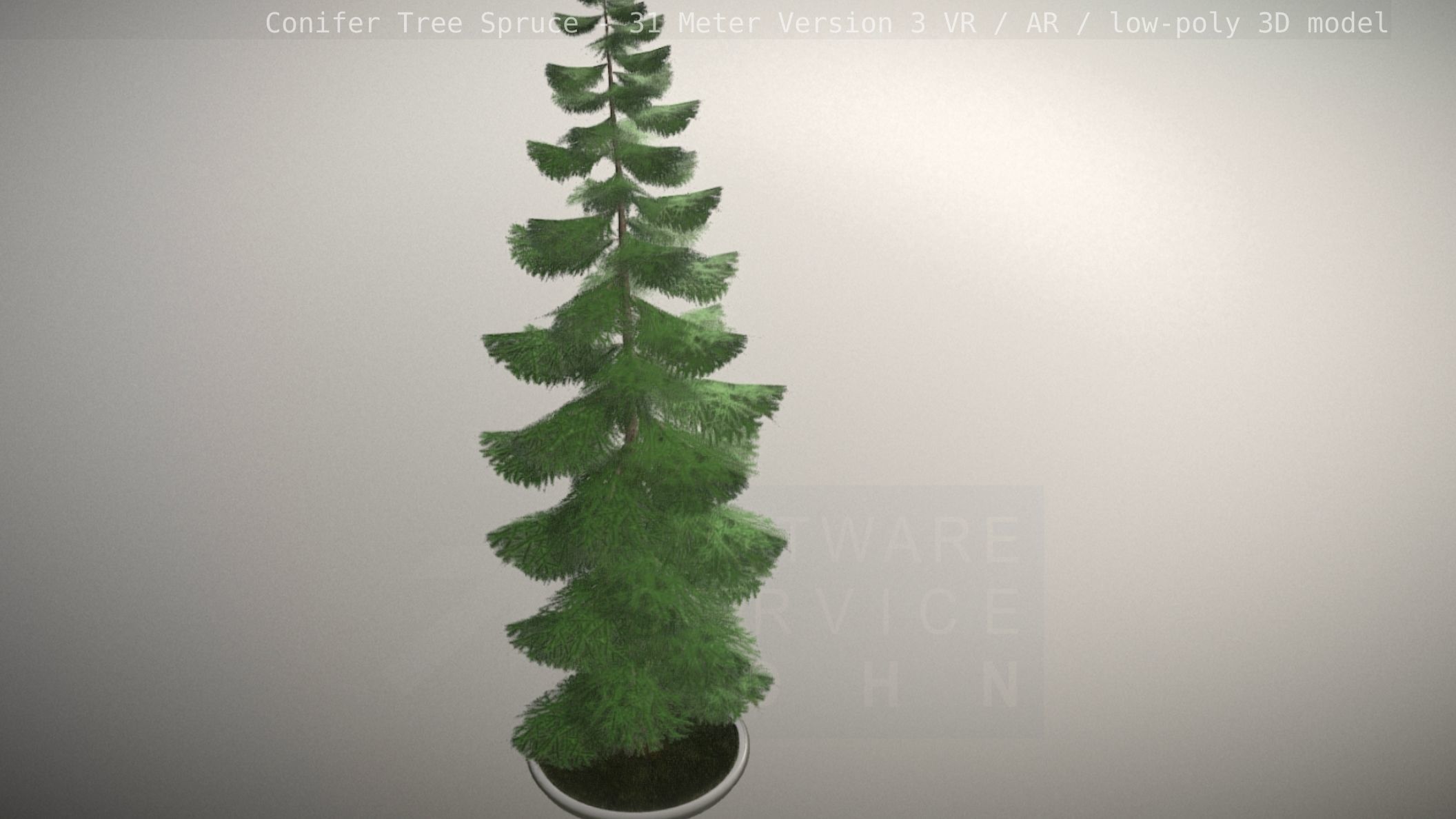Conifer Tree Spruce - 31 Meter Version 3 Low-poly 3D model_25