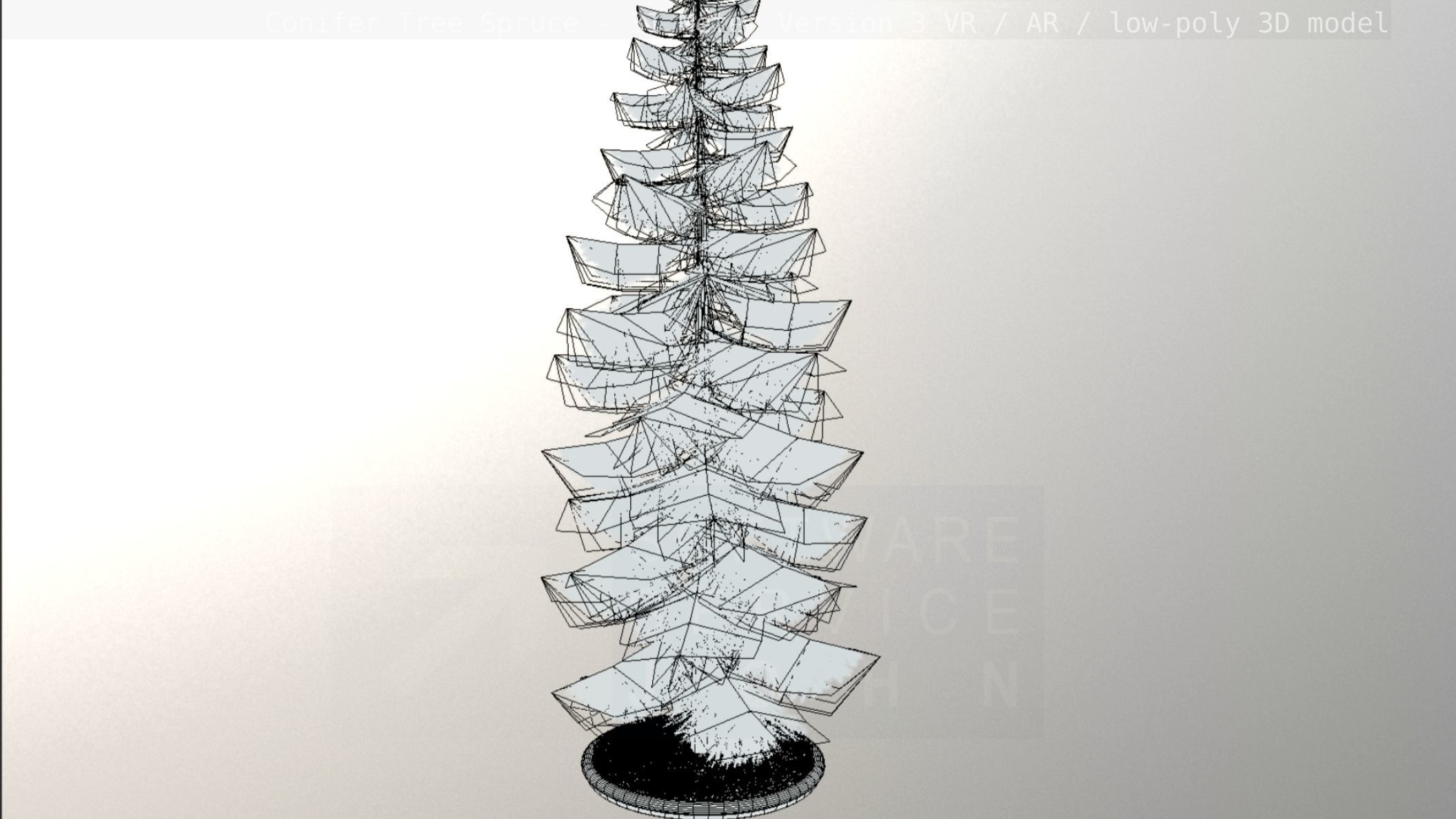 Conifer Tree Spruce - 31 Meter Version 3 Low-poly 3D model_8