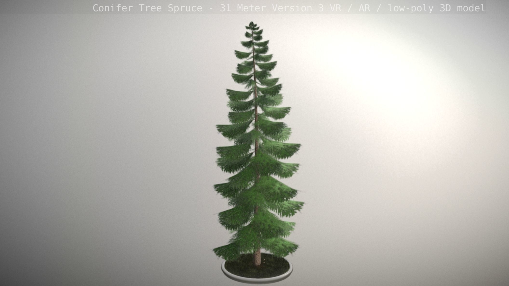 Conifer Tree Spruce - 31 Meter Version 3 Low-poly 3D model_2
