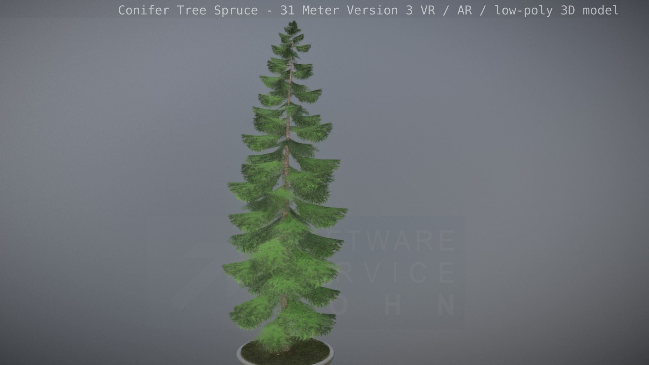 Conifer Tree Spruce - 31 Meter Version 3 Low-poly 3D model_17