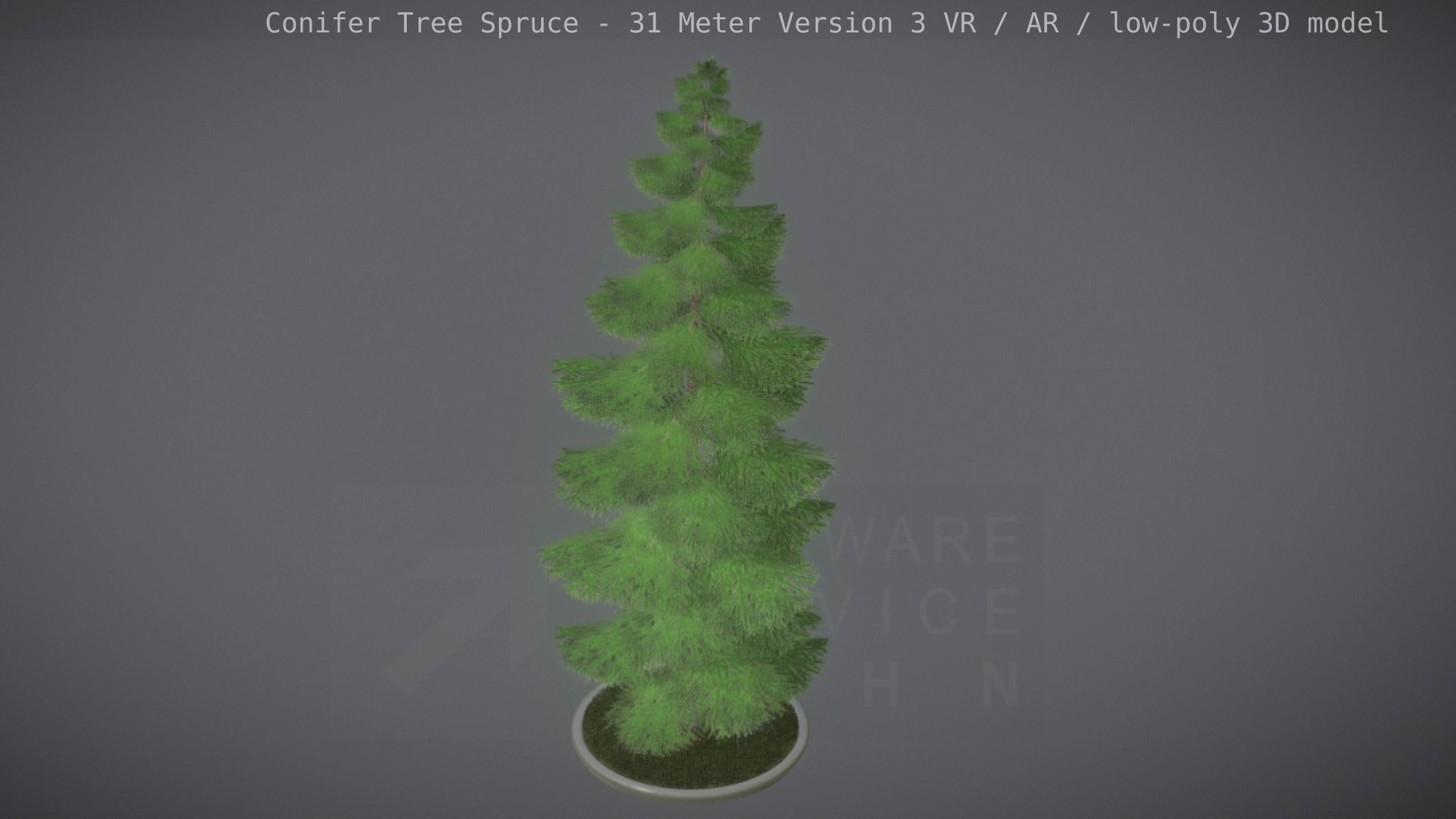 Conifer Tree Spruce - 31 Meter Version 3 Low-poly 3D model_84