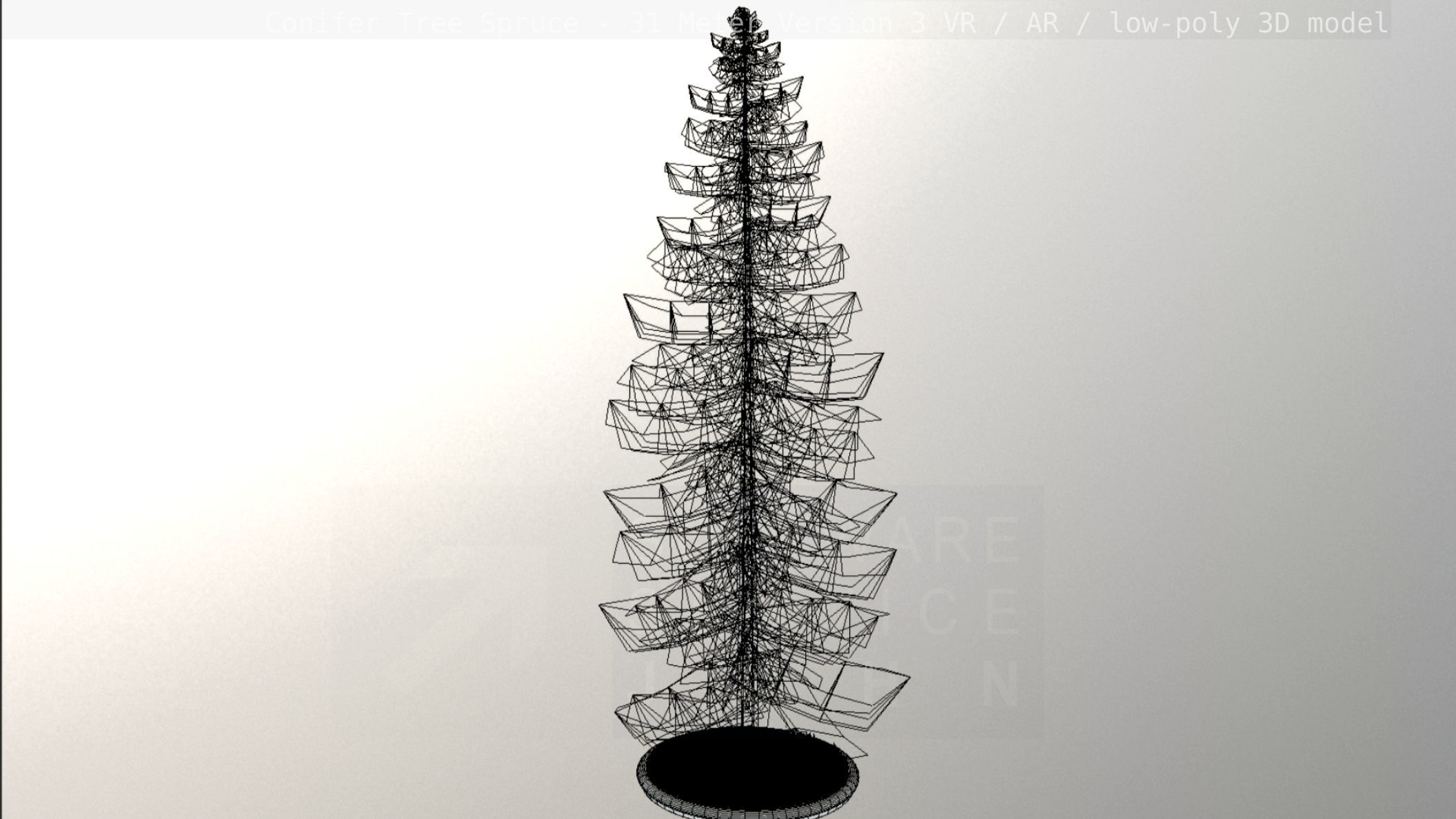 Conifer Tree Spruce - 31 Meter Version 3 Low-poly 3D model_7