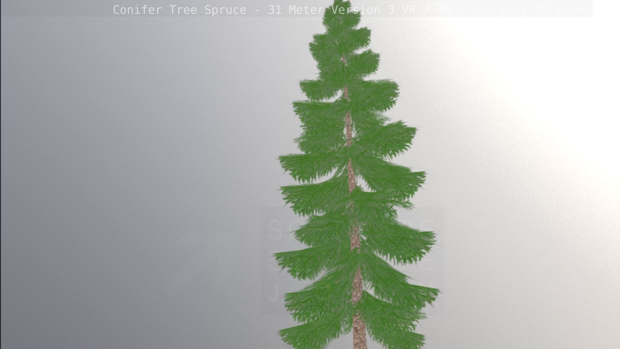 Conifer Tree Spruce - 31 Meter Version 3 Low-poly 3D model_57