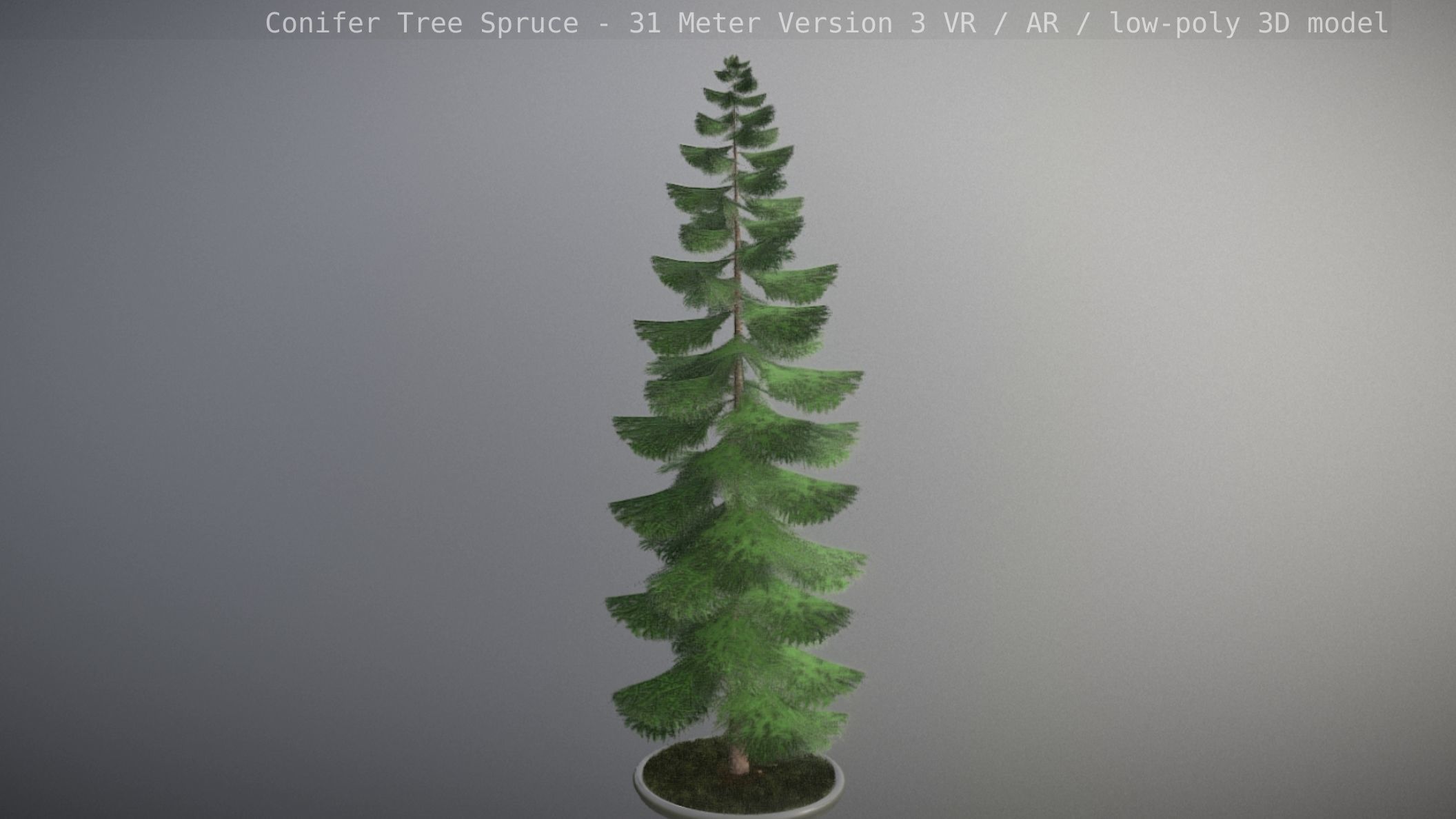 Conifer Tree Spruce - 31 Meter Version 3 Low-poly 3D model_13