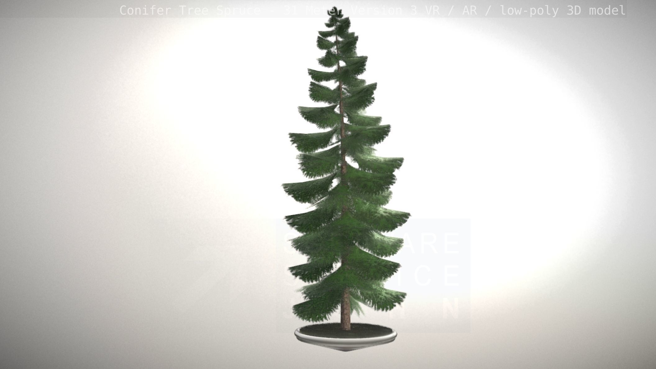 Conifer Tree Spruce - 31 Meter Version 3 Low-poly 3D model_40