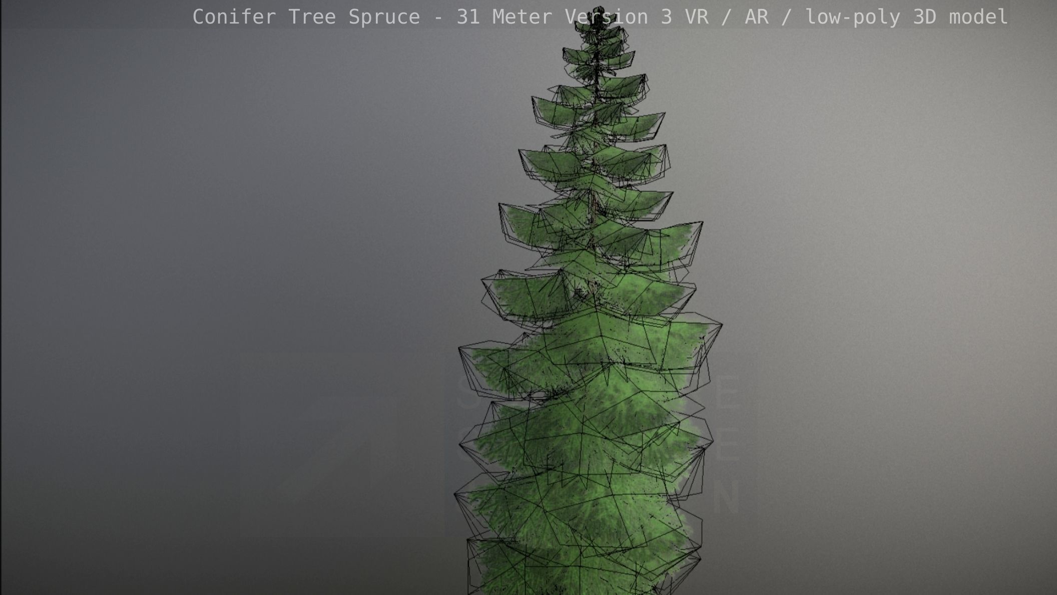 Conifer Tree Spruce - 31 Meter Version 3 Low-poly 3D model_67