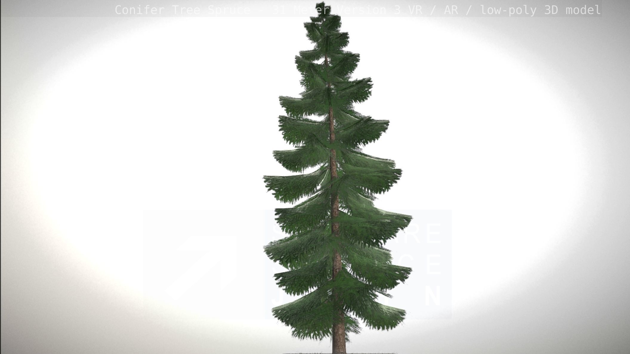 Conifer Tree Spruce - 31 Meter Version 3 Low-poly 3D model_47