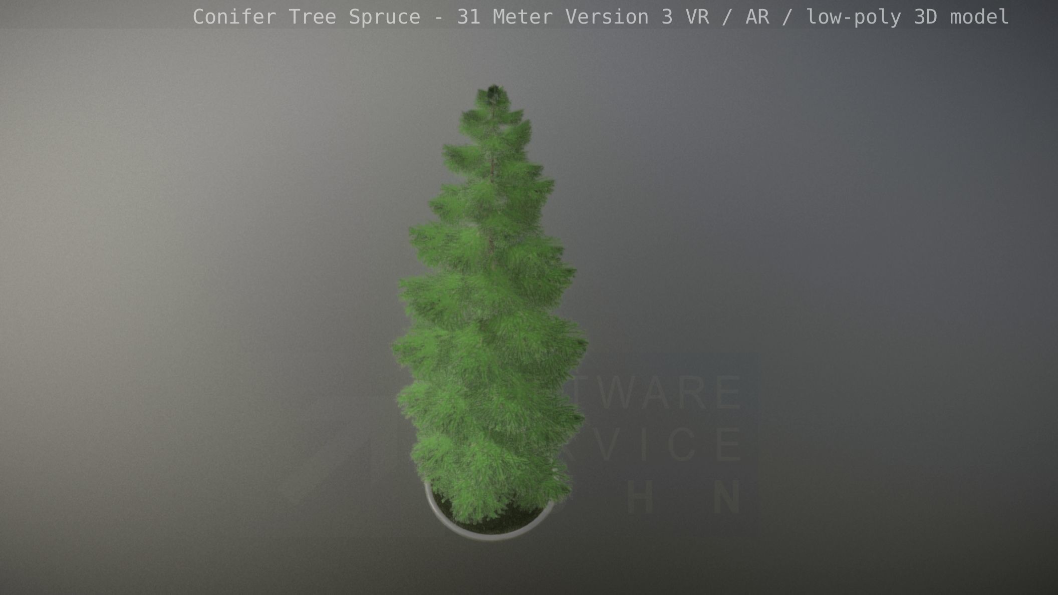 Conifer Tree Spruce - 31 Meter Version 3 Low-poly 3D model_19