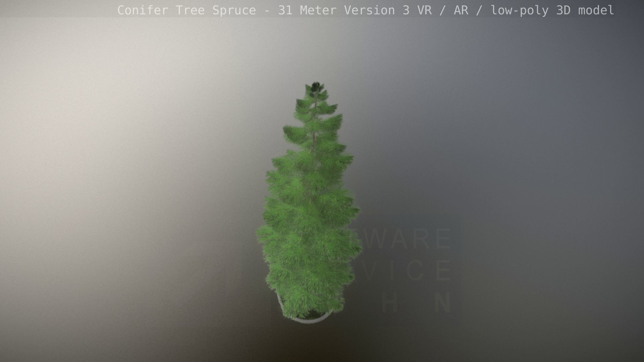 Conifer Tree Spruce - 31 Meter Version 3 Low-poly 3D model_107