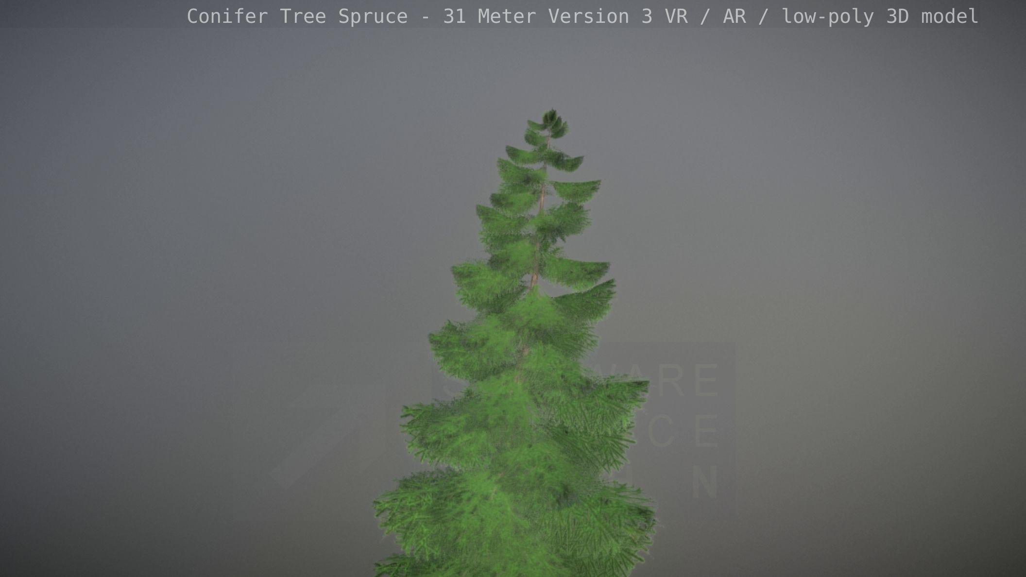 Conifer Tree Spruce - 31 Meter Version 3 Low-poly 3D model_34