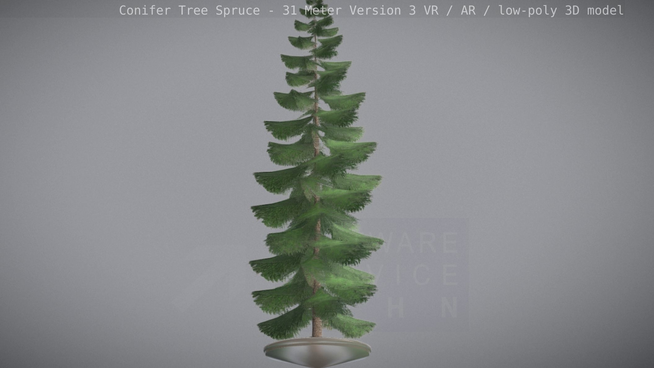 Conifer Tree Spruce - 31 Meter Version 3 Low-poly 3D model_83